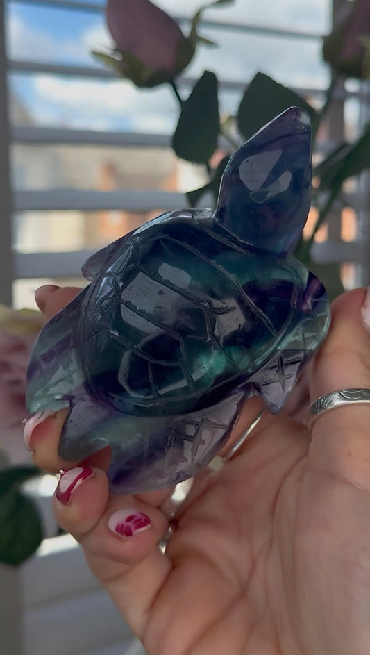 High grade, fluorite sea turtle in green & blue