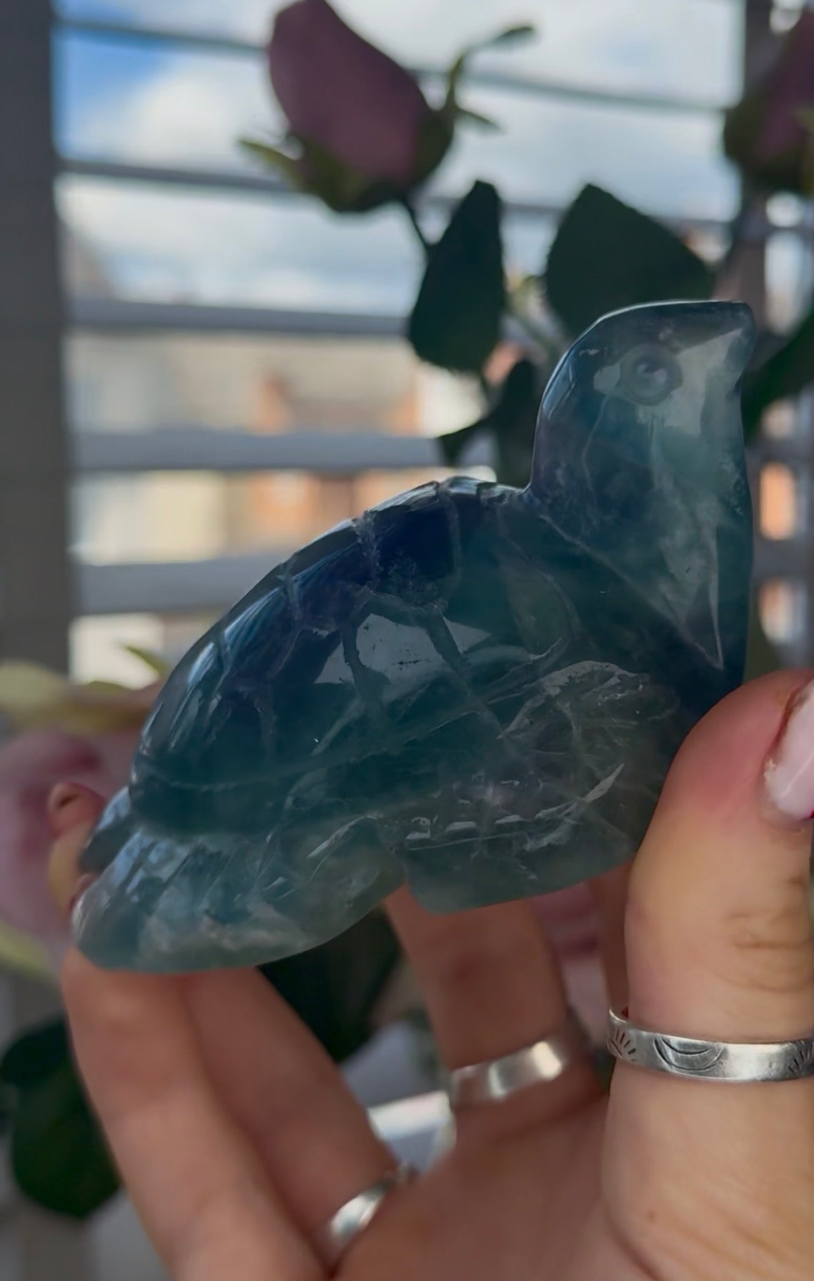 High grade, fluorite sea turtle in green & blue