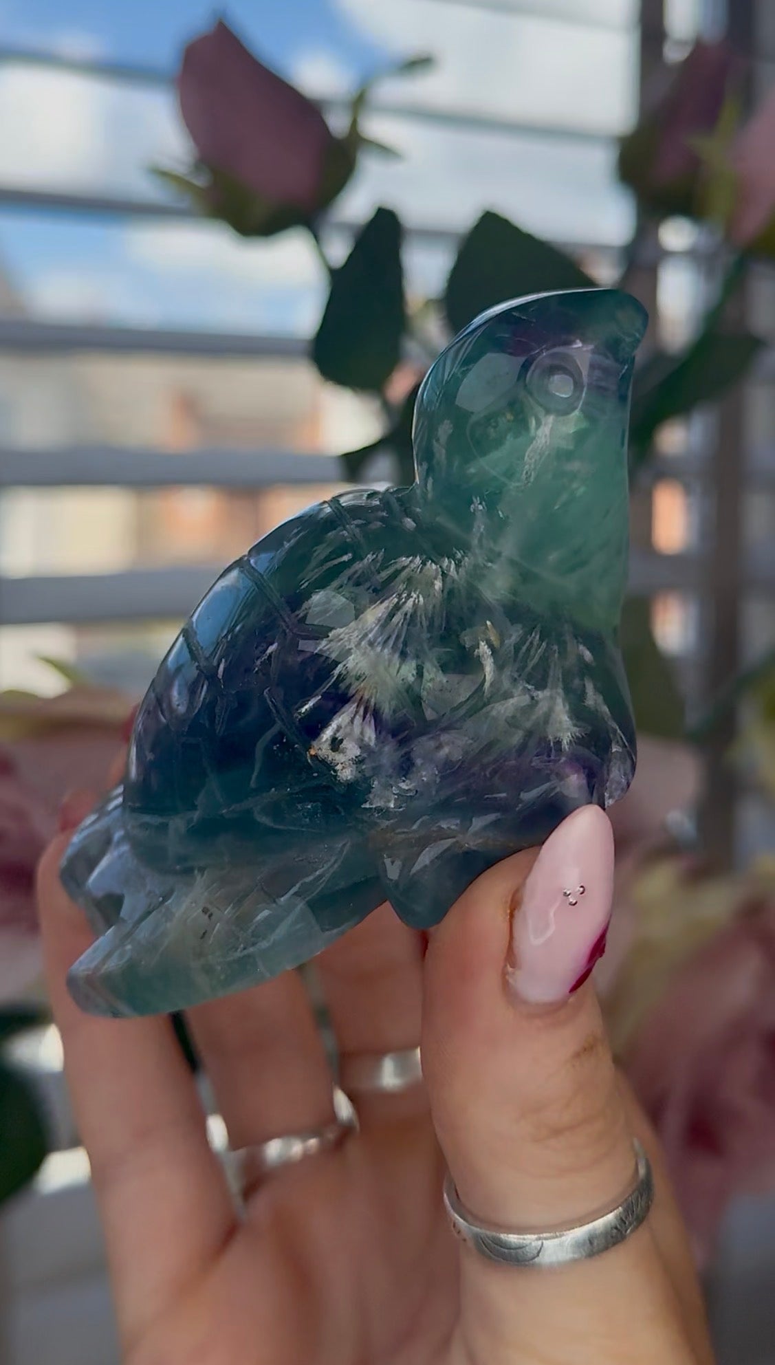 High grade, feather fluorite, sea turtle in green & blue