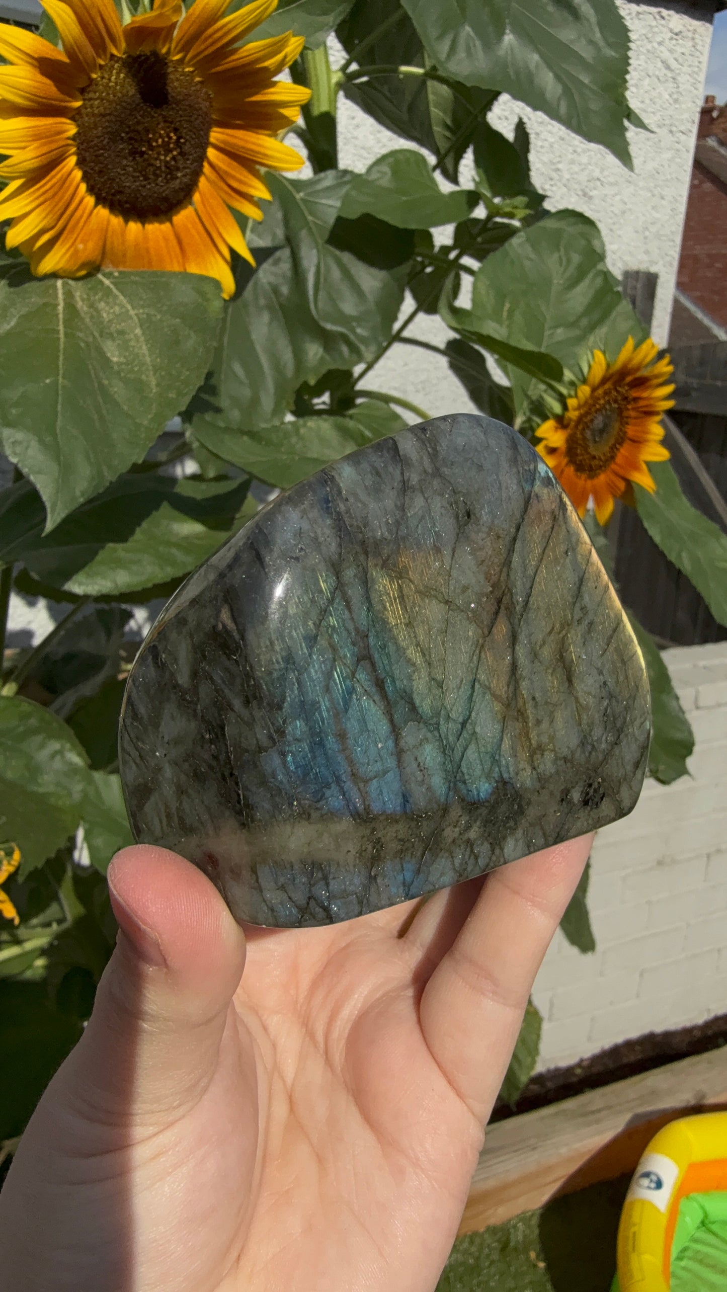 Flashy golden yellow Labradorite Freeform 550g