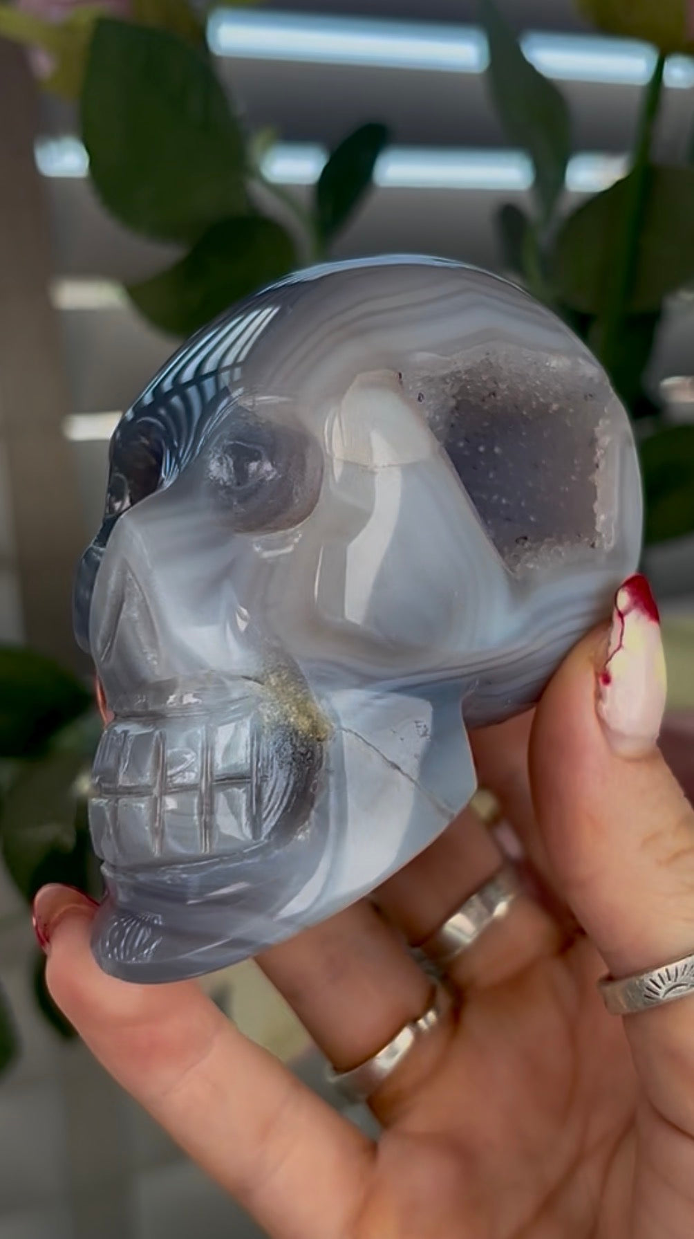 Beautiful, blue banded agate skull