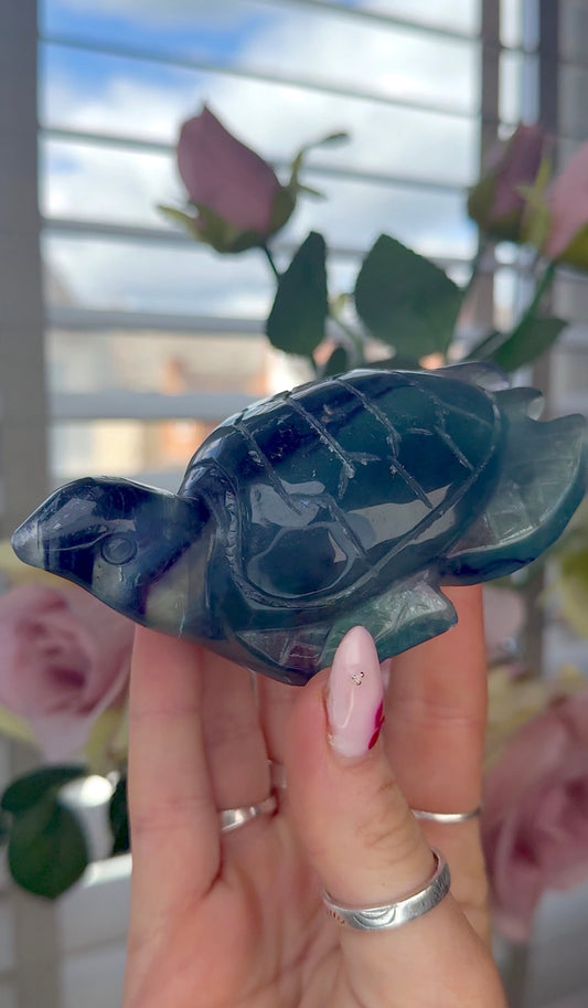 High grade, fluorite sea turtle in green & blue