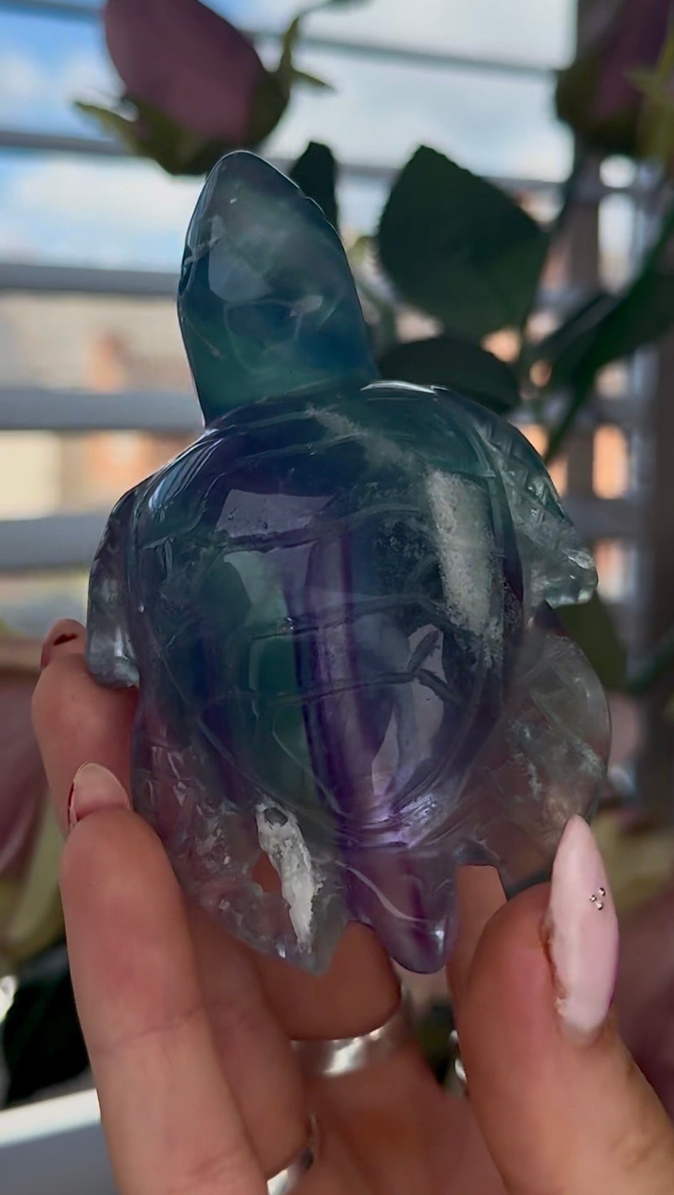 High grade, fluorite sea turtle in green & blue