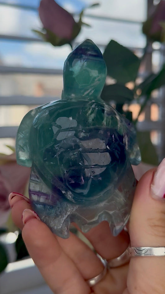 High grade, feather fluorite, sea turtle in green & blue