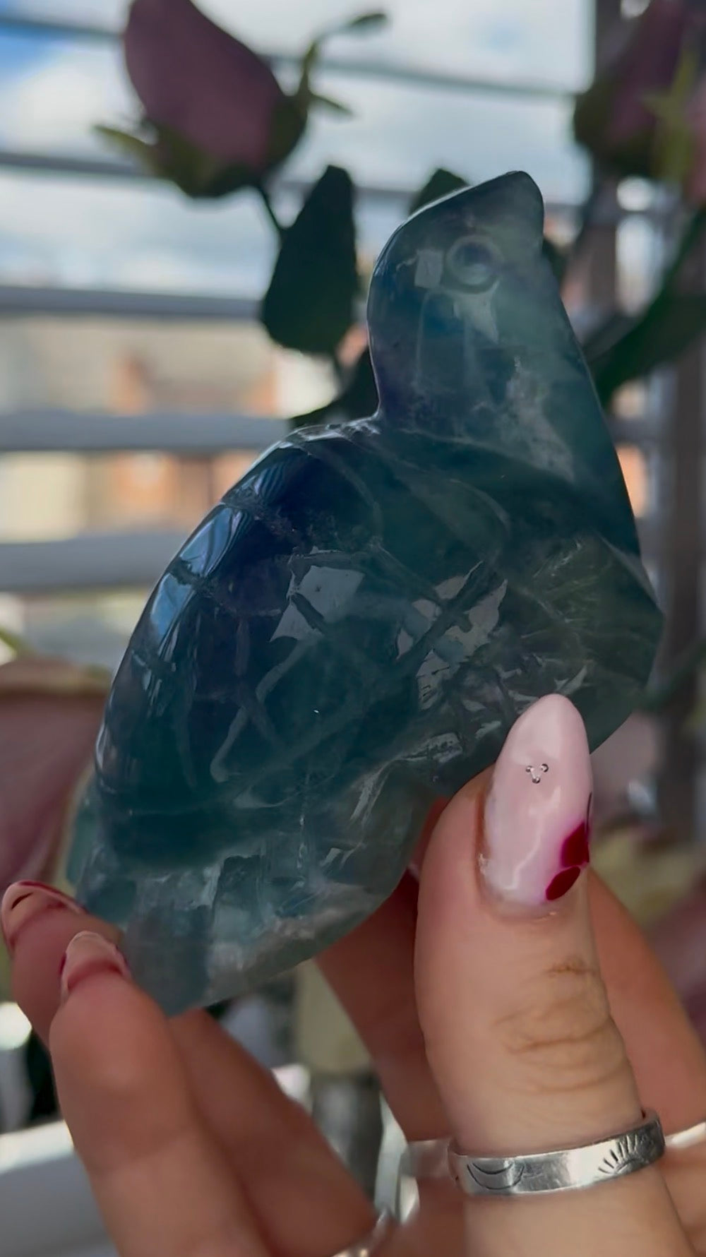 High grade, fluorite sea turtle in green & blue