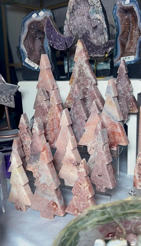 Tara French - winter wonderland claims