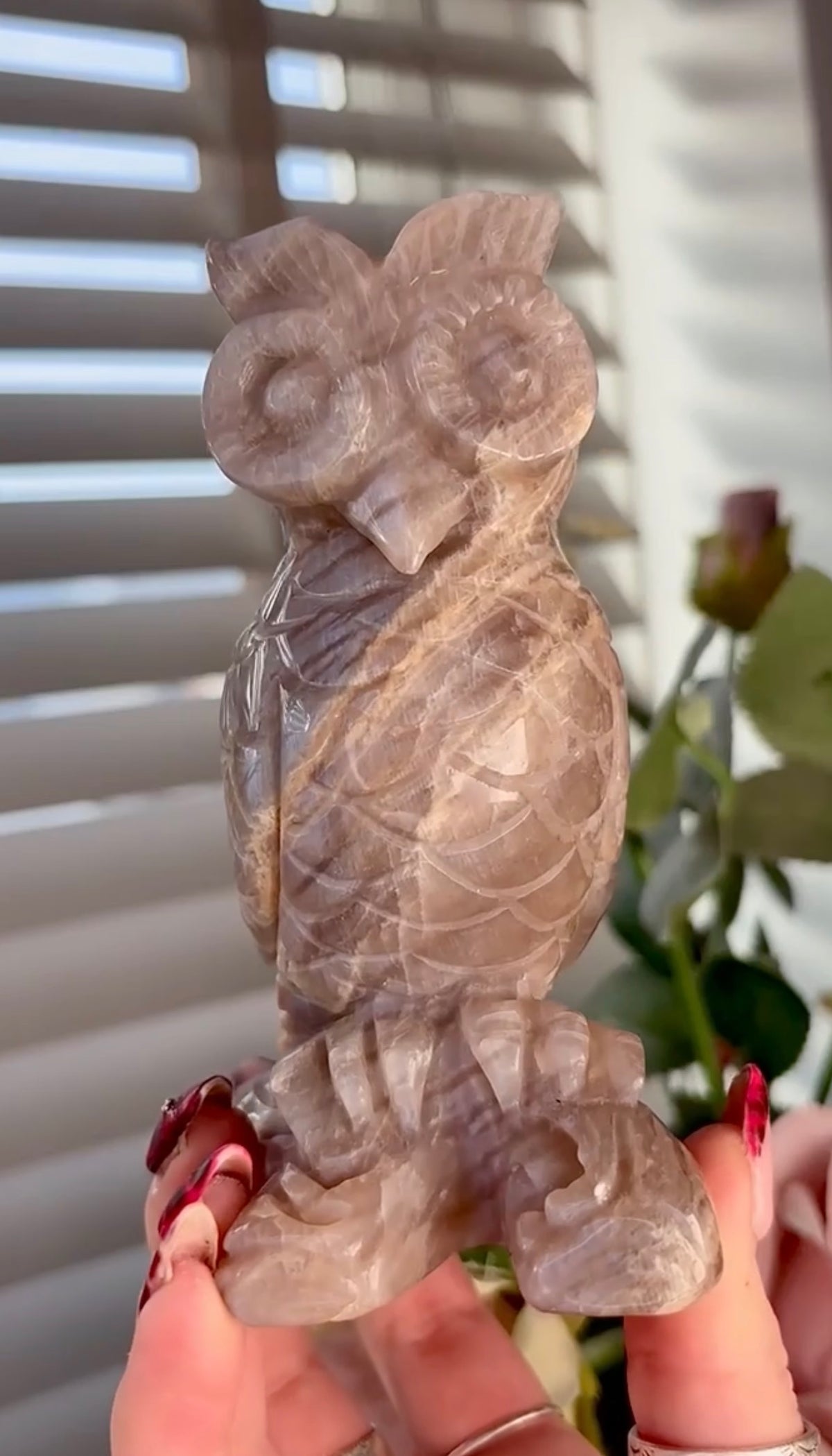 Beautiful owl moonstone carving