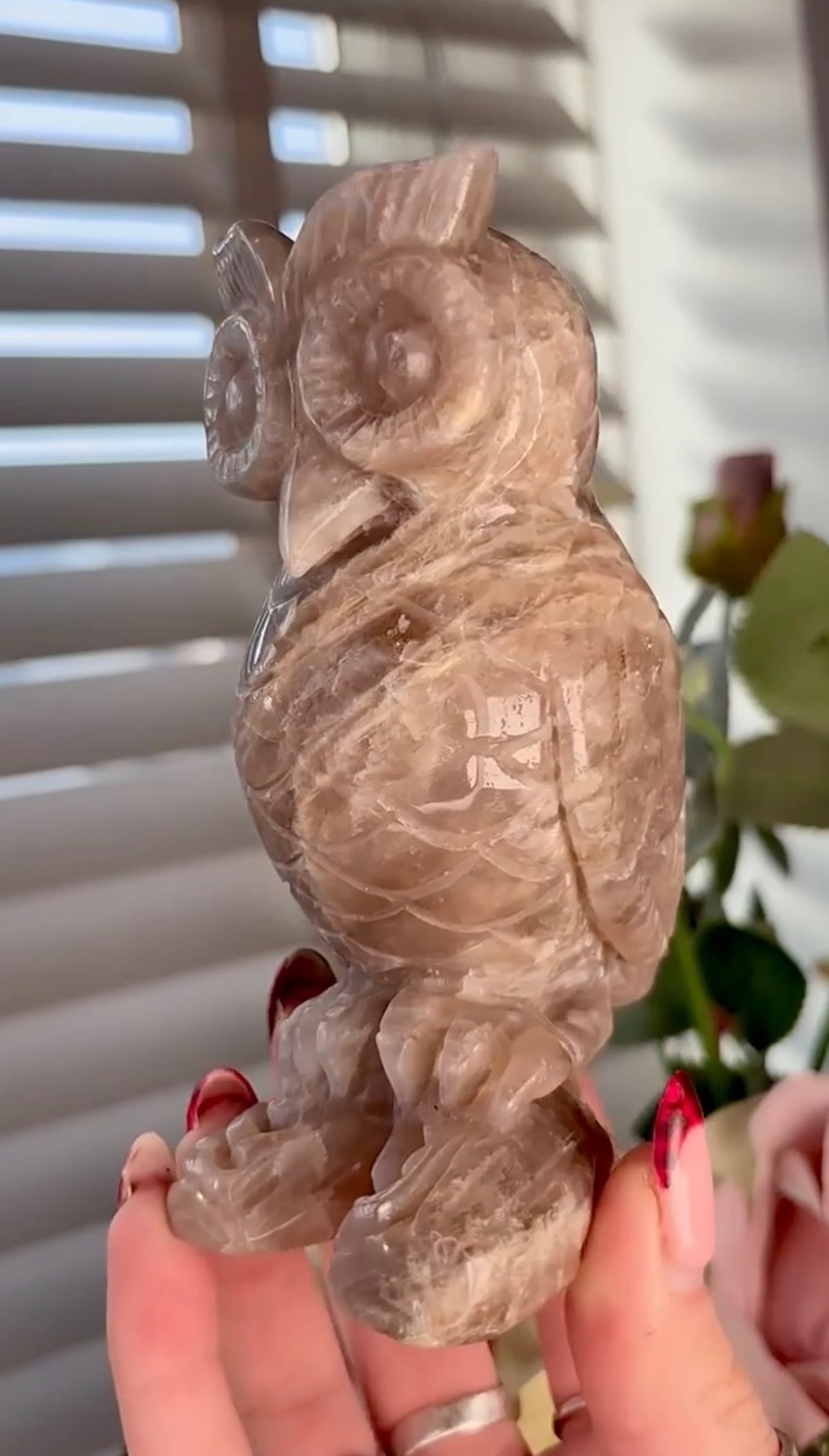 Beautiful owl moonstone carving
