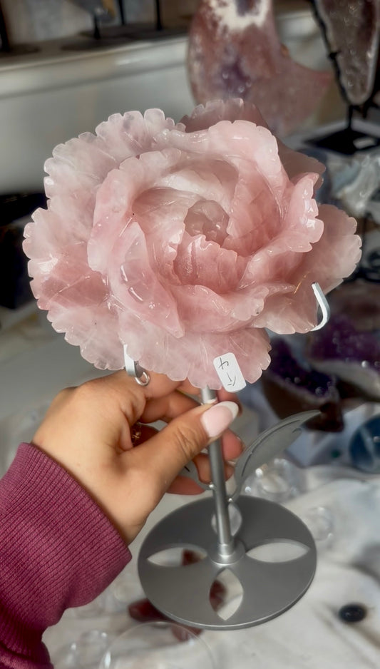 High grade, gemmy rose quartz rose on silver flower stand