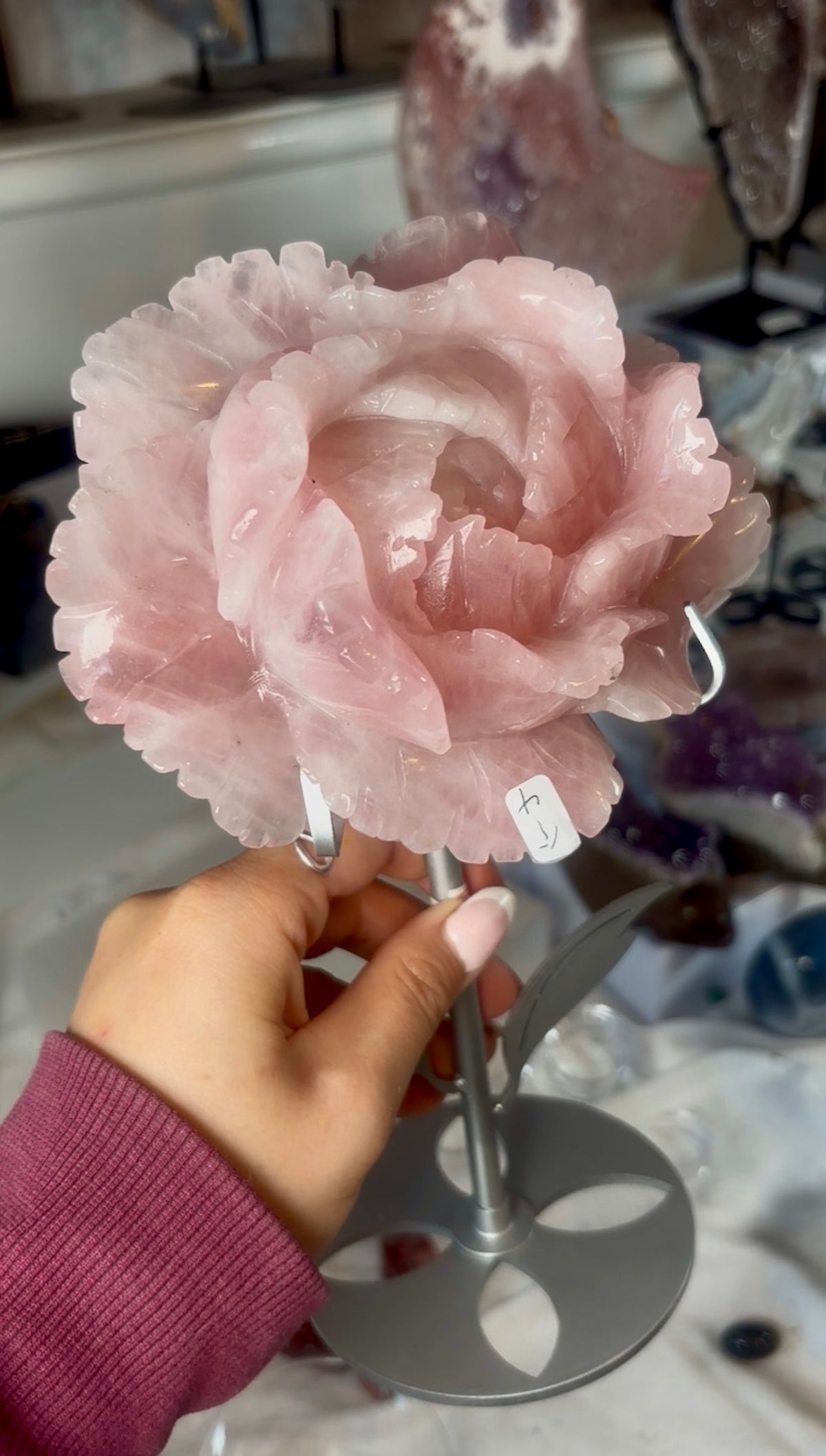 High grade, gemmy rose quartz rose on silver flower stand