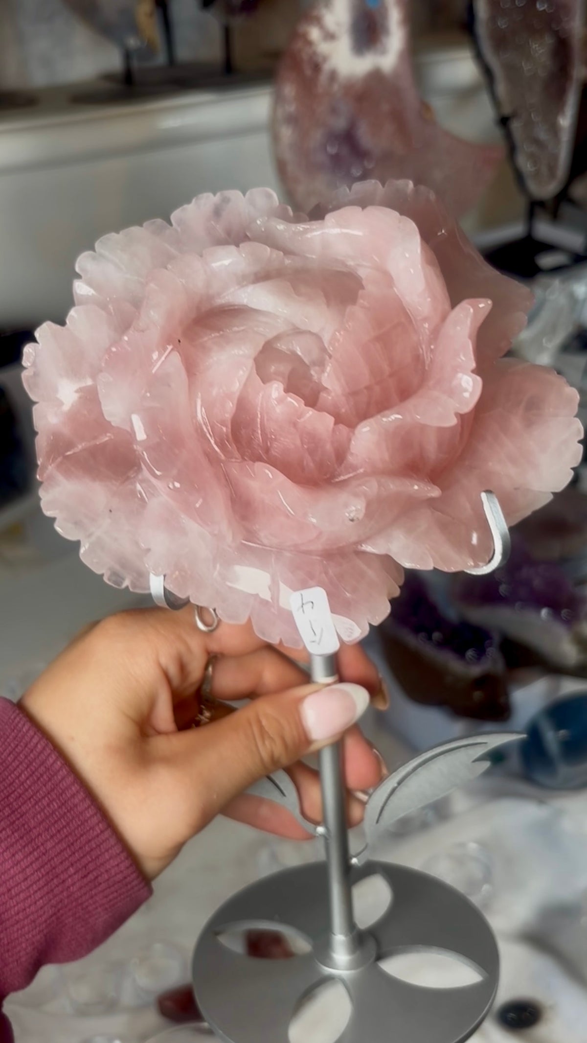 High grade, gemmy rose quartz rose on silver flower stand