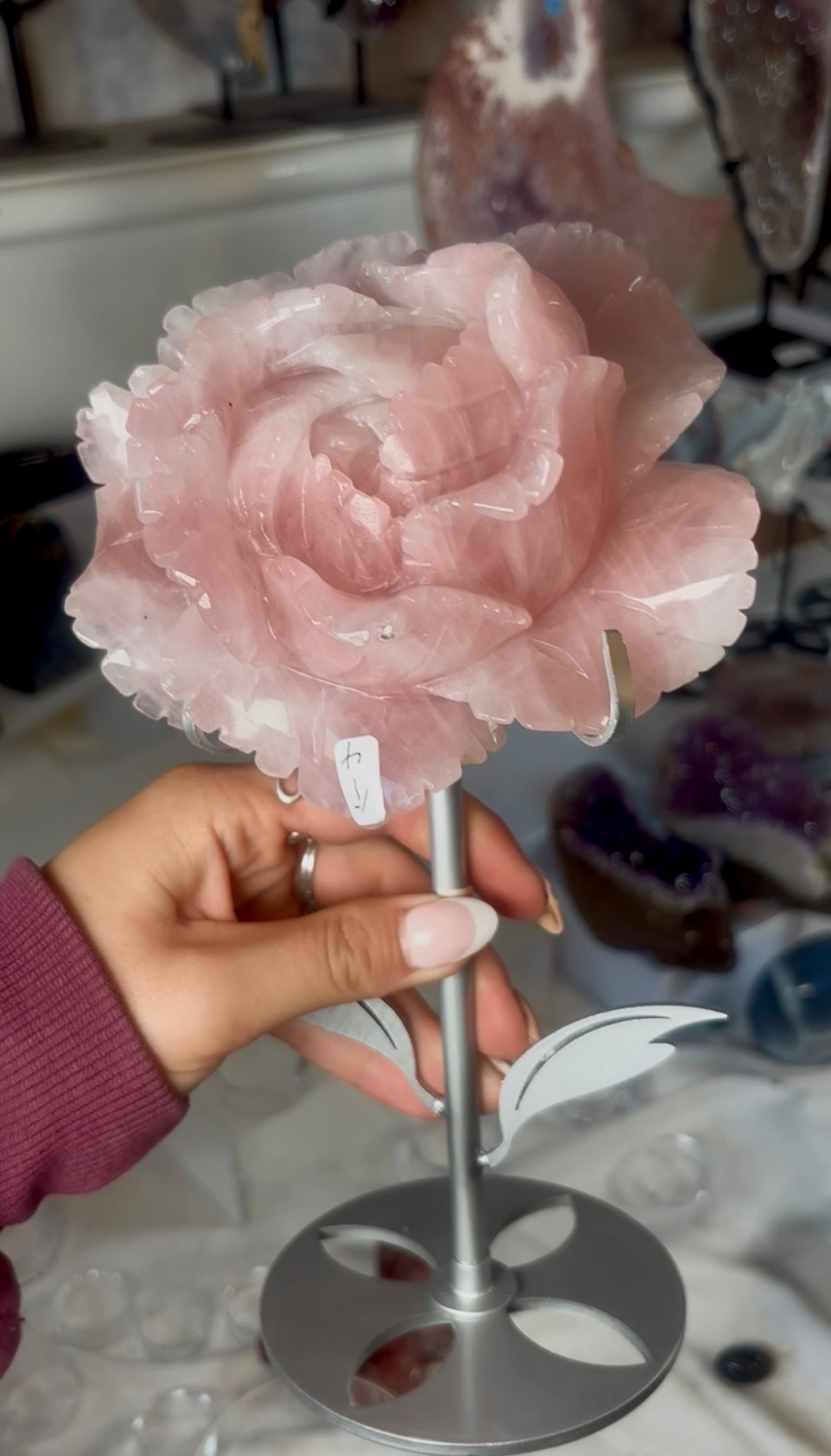 High grade, gemmy rose quartz rose on silver flower stand