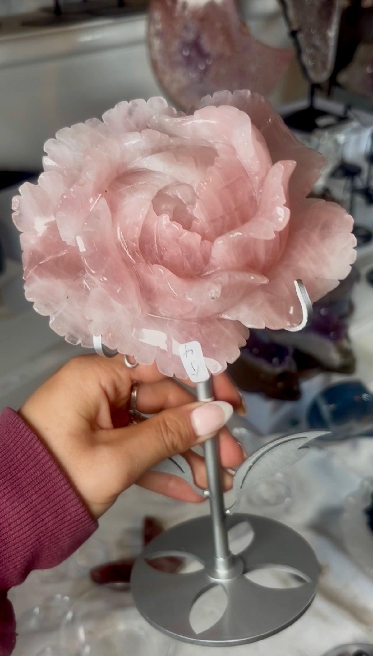 High grade, gemmy rose quartz rose on silver flower stand