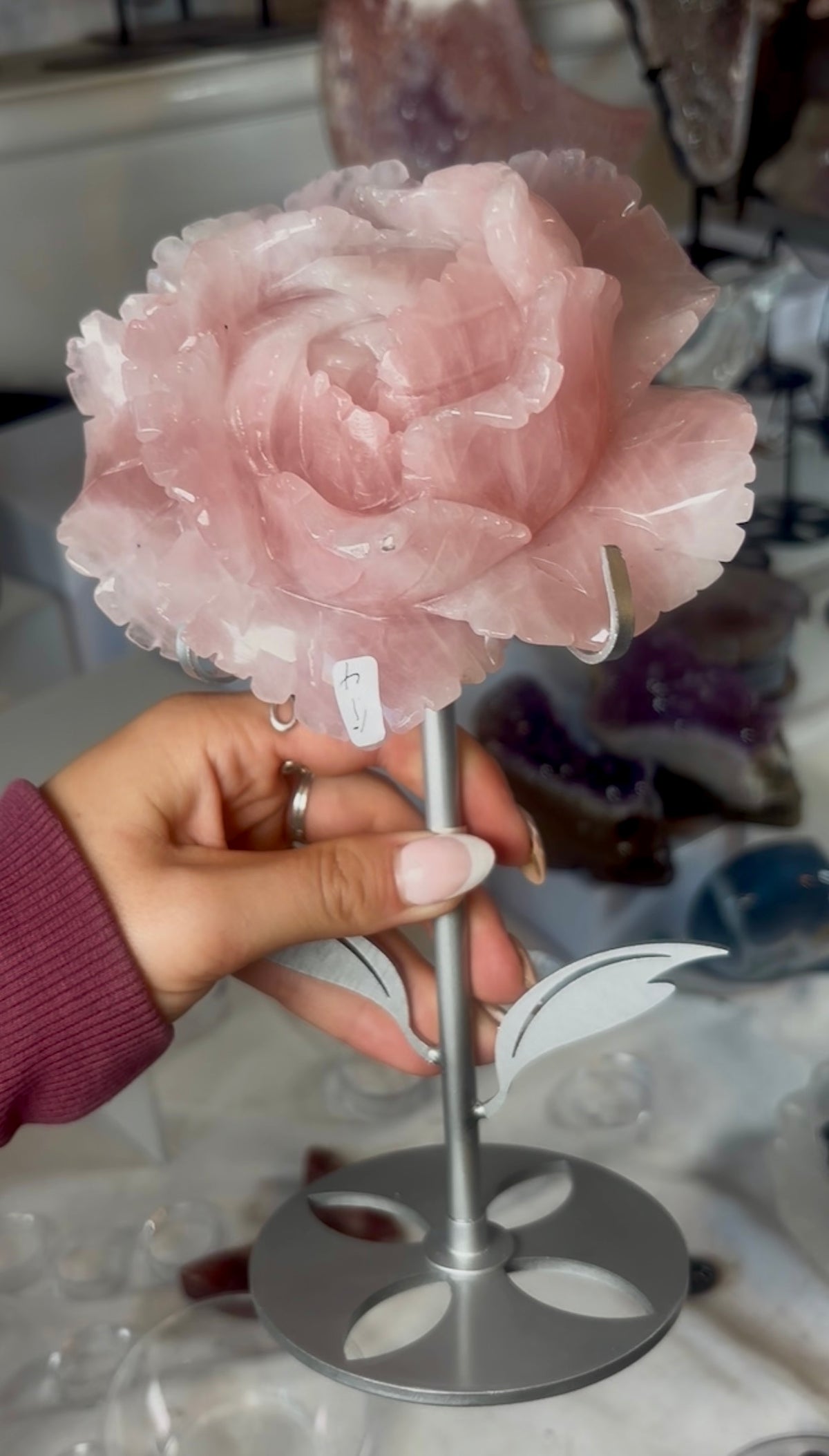 High grade, gemmy rose quartz rose on silver flower stand