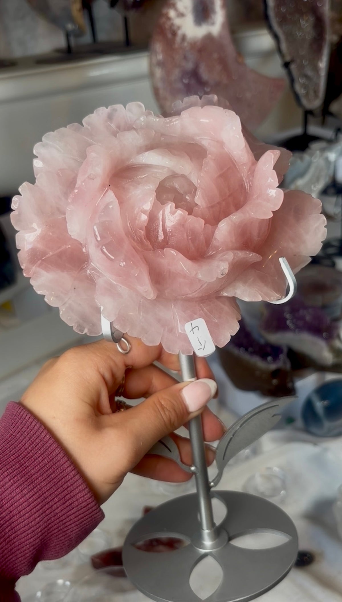 High grade, gemmy rose quartz rose on silver flower stand