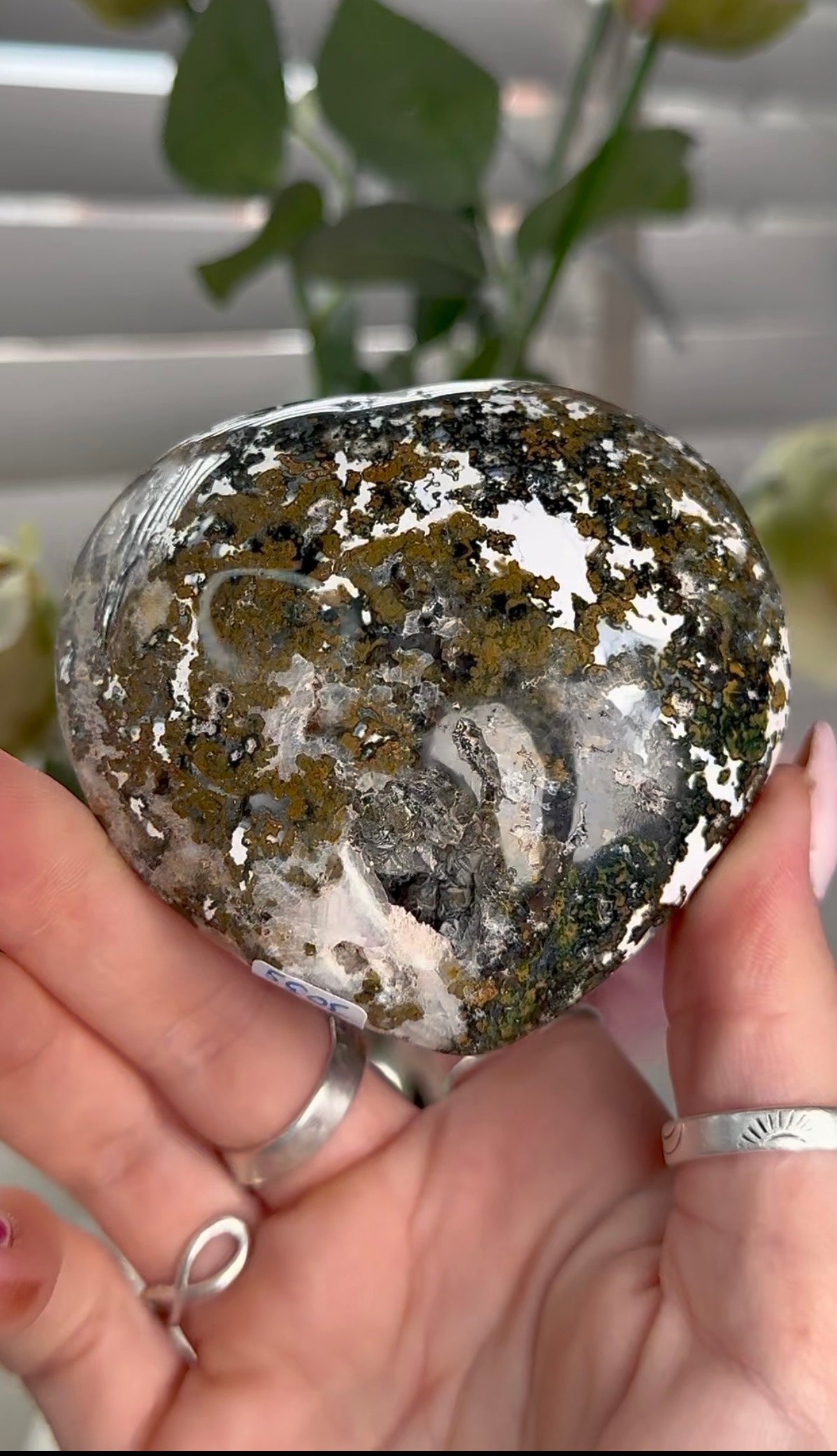 Ocean jasper heart