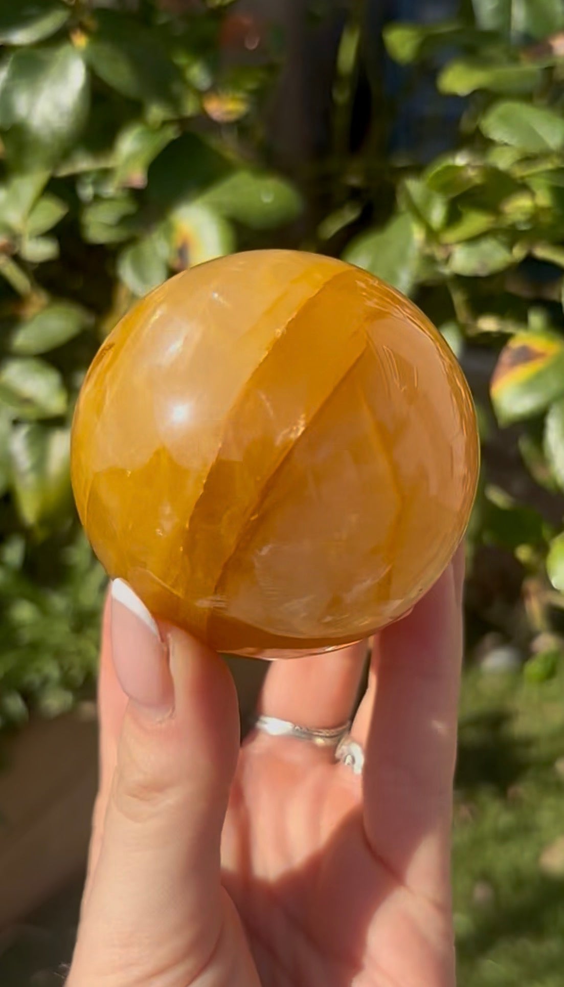 High quality, golden healer, sphere 6.4cm