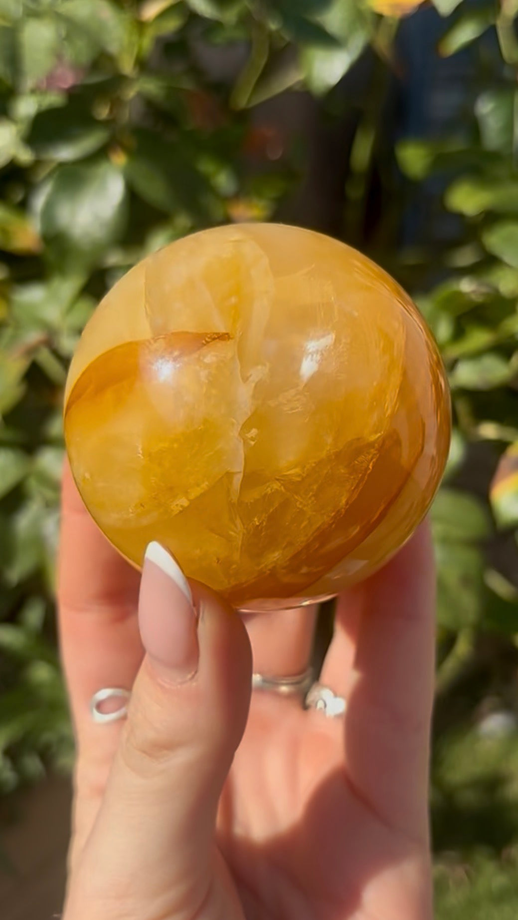 High quality, golden healer, sphere 6.4cm