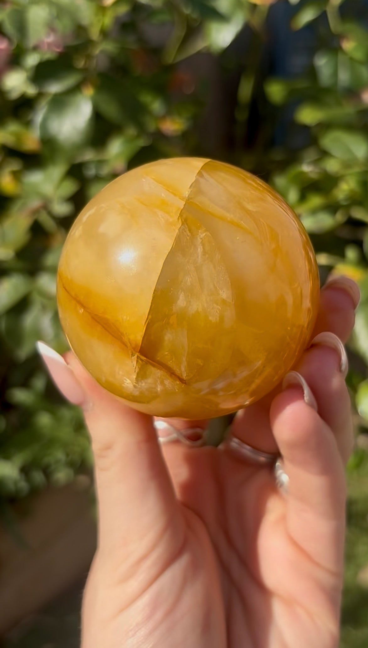 High quality, golden healer, sphere 6.4cm