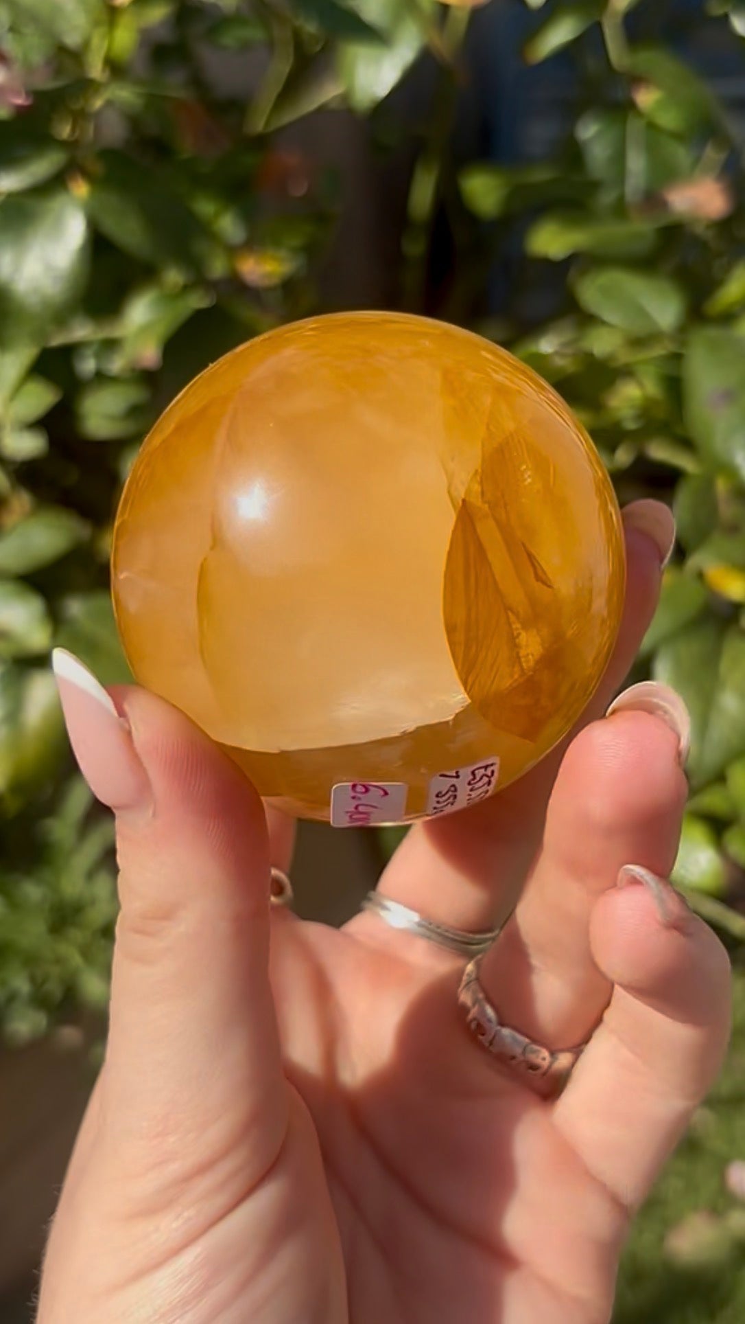 High quality, golden healer, sphere 6.4cm