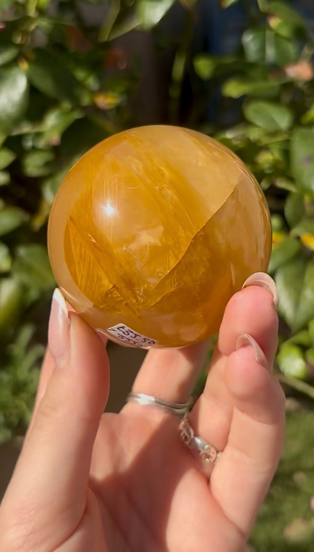 High quality, golden healer, sphere 6.4cm
