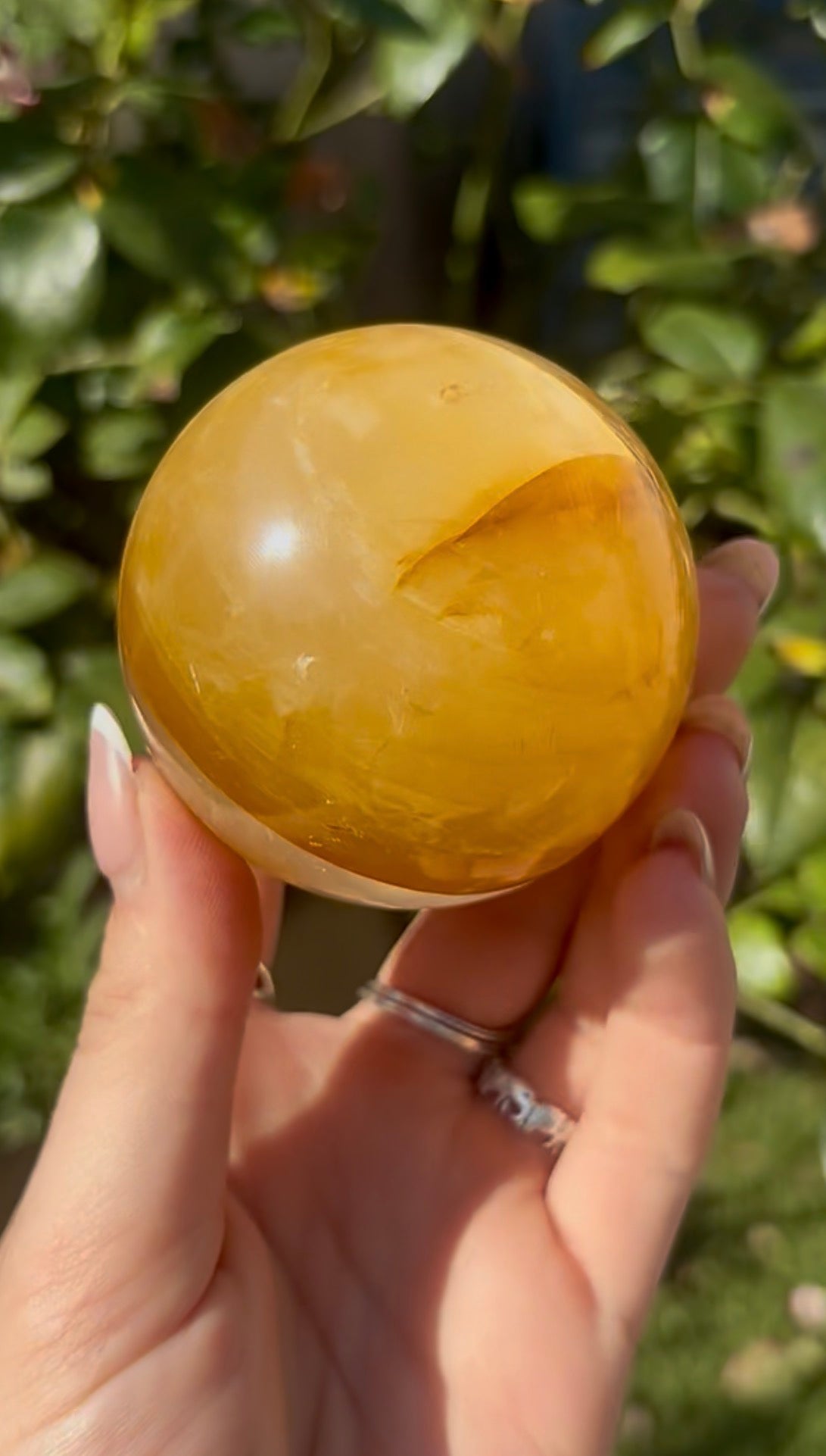 High quality, golden healer, sphere 6.4cm