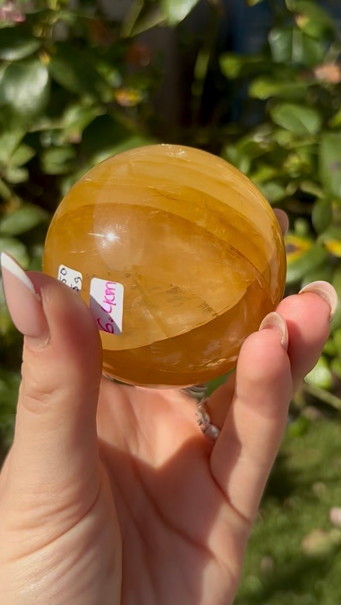 High quality, golden healer, sphere 6.4cm