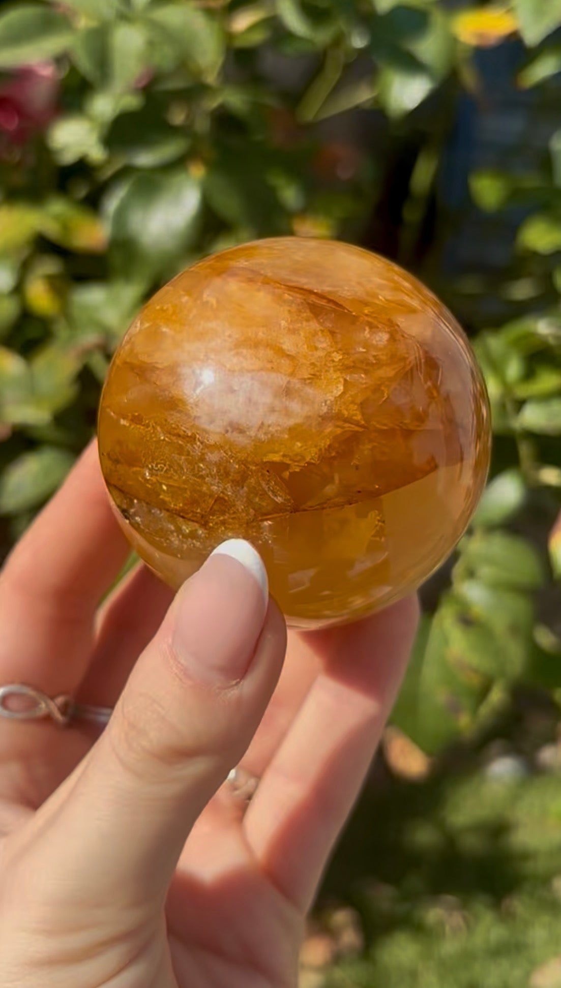 High quality, golden healer, sphere 6.3cm