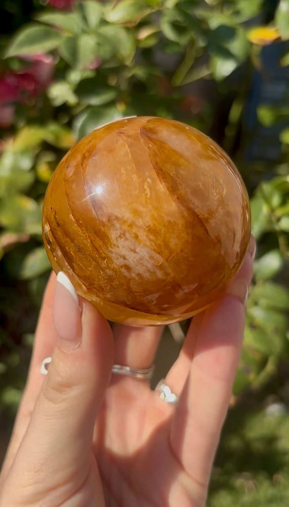High quality, golden healer, sphere 6.3cm