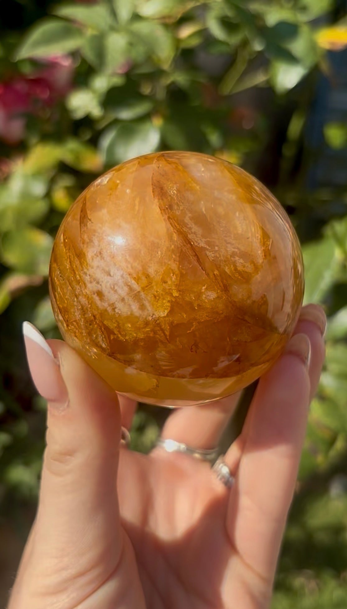 High quality, golden healer, sphere 6.3cm