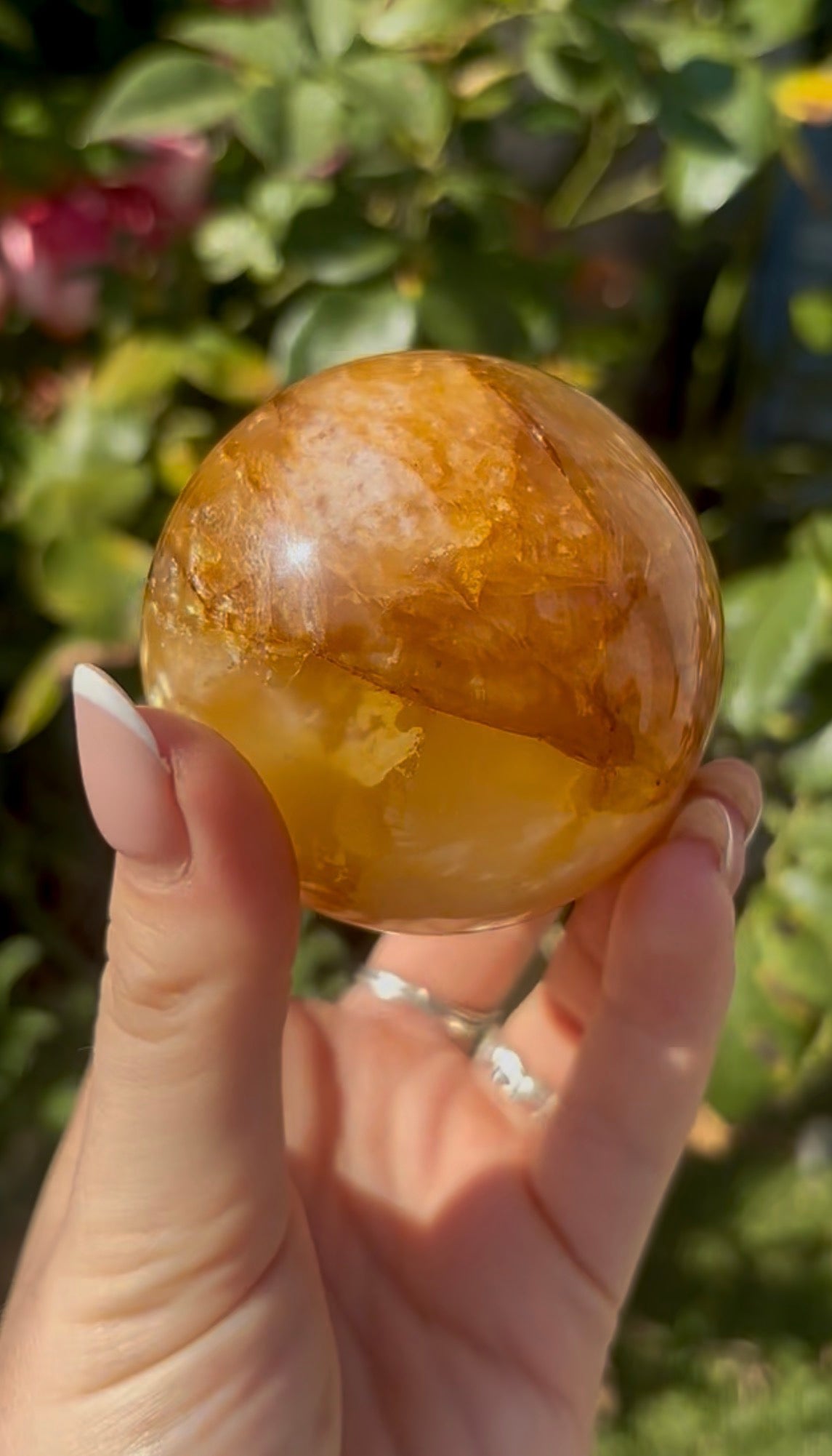High quality, golden healer, sphere 6.3cm