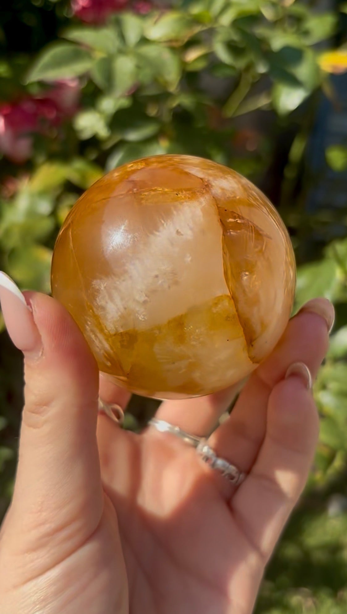 High quality, golden healer, sphere 6.3cm