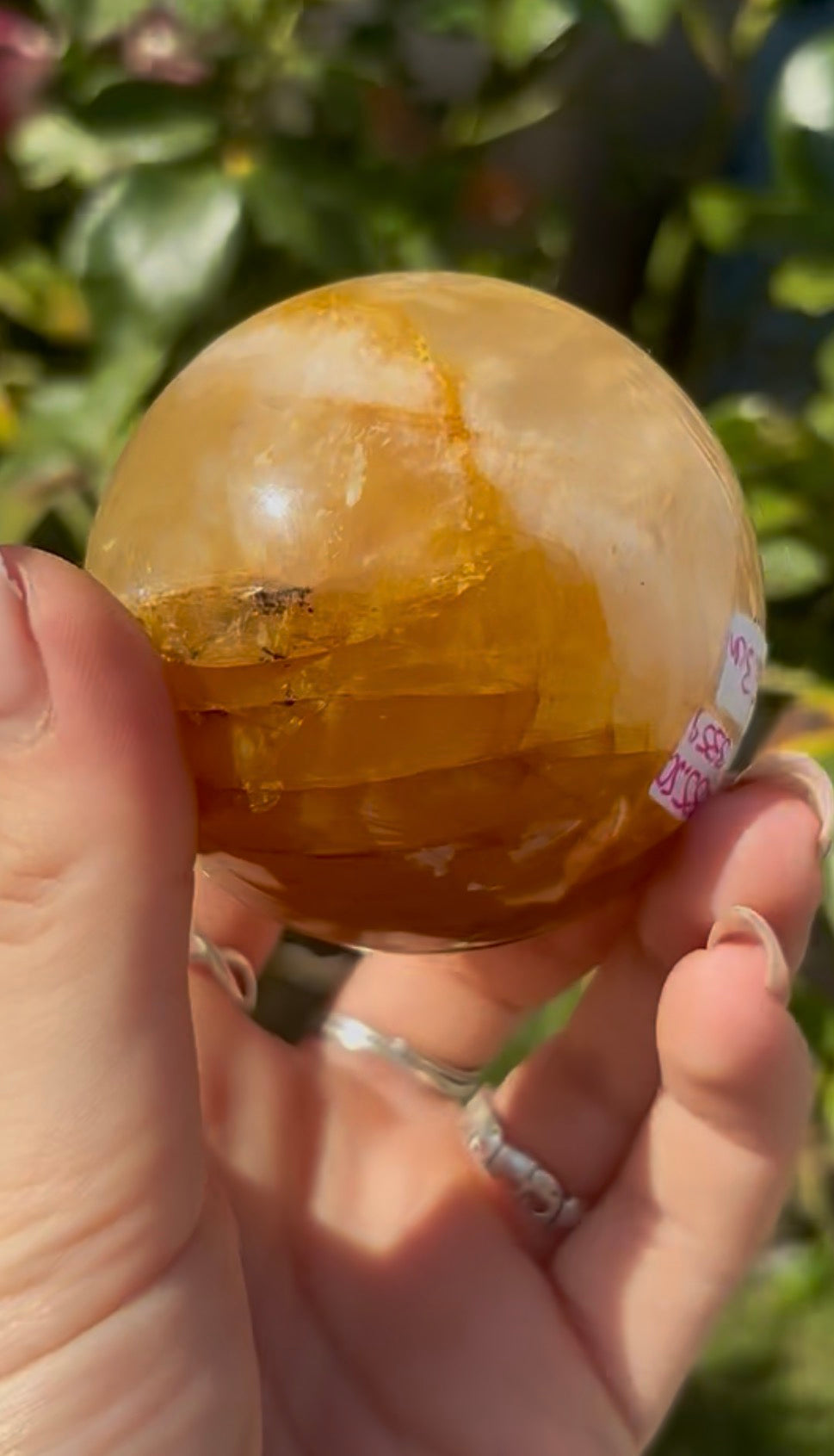 High quality, golden healer, sphere 6.3cm