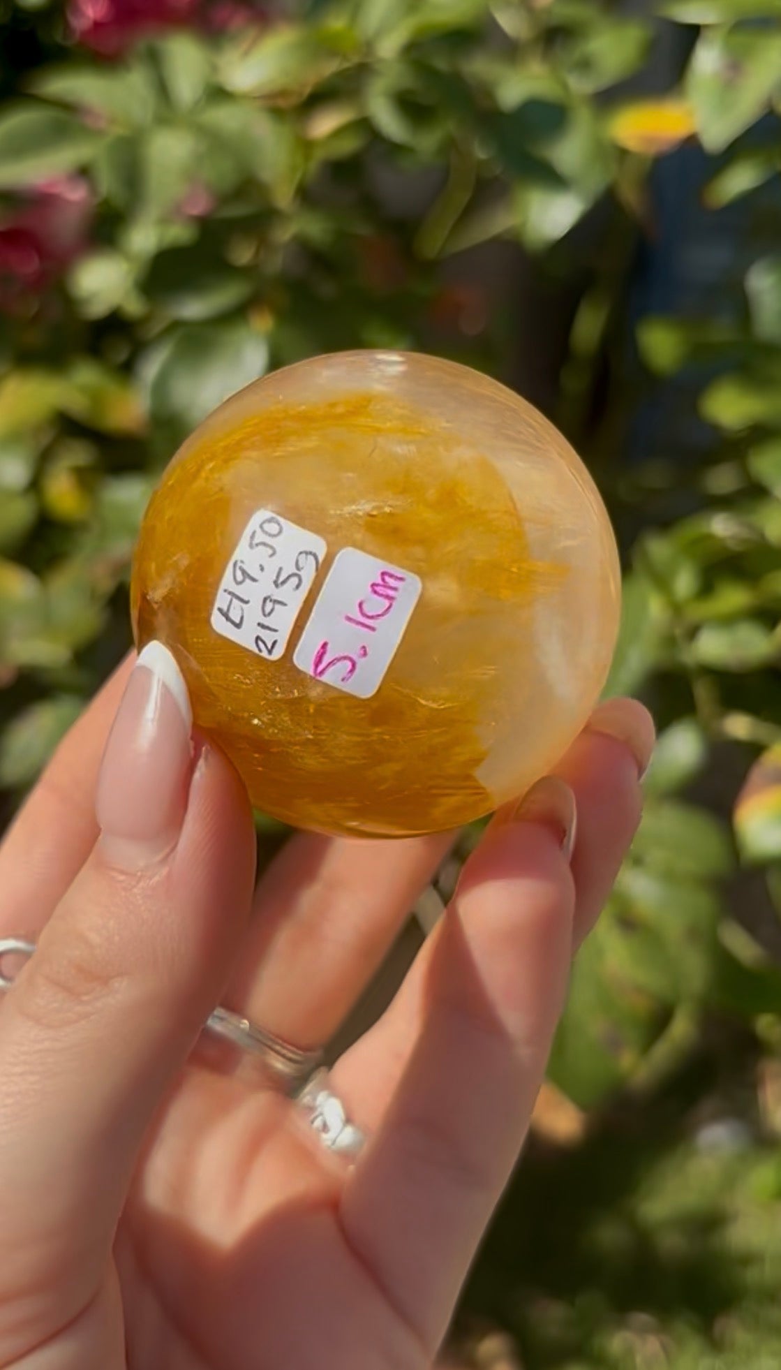 High quality, golden healer, sphere 5cm