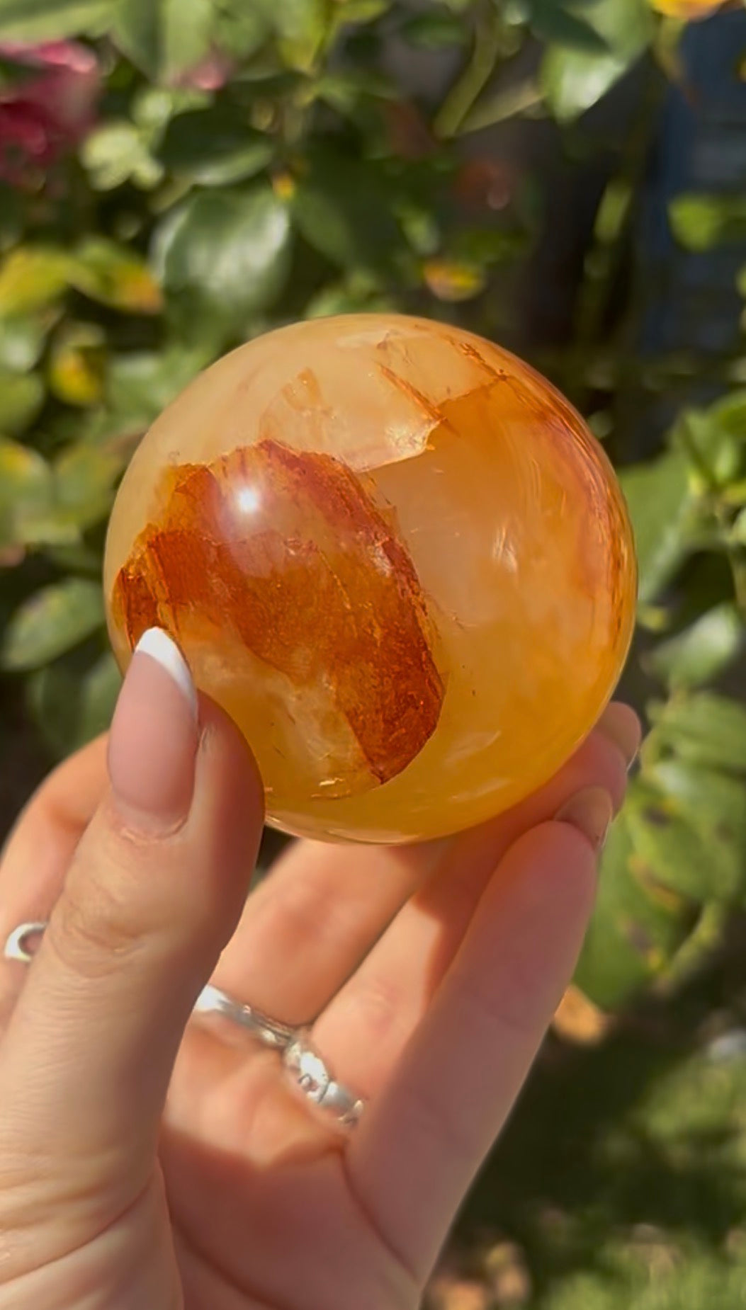 High quality, golden healer, sphere 6.4cm