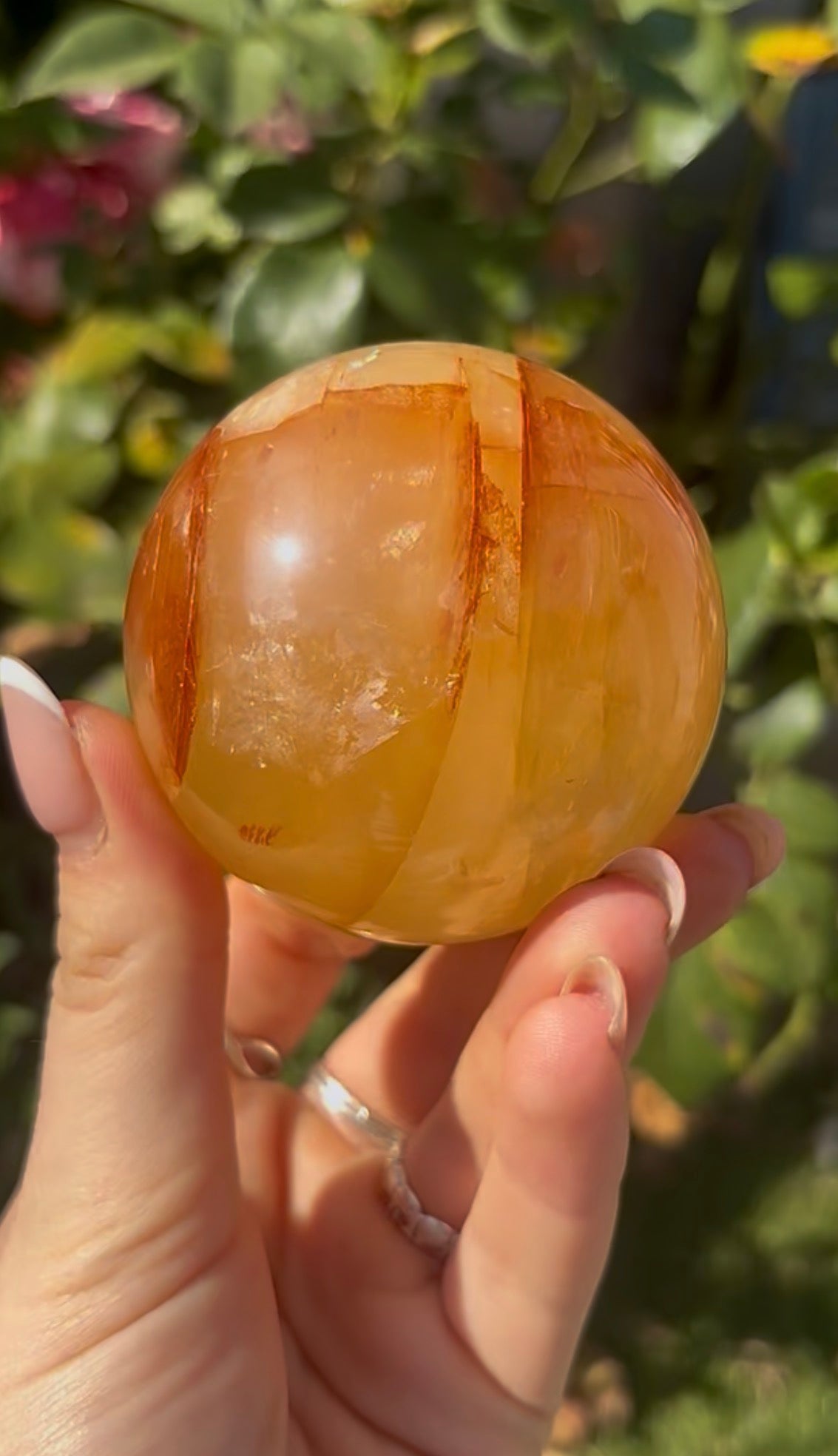 High quality, golden healer, sphere 6.4cm