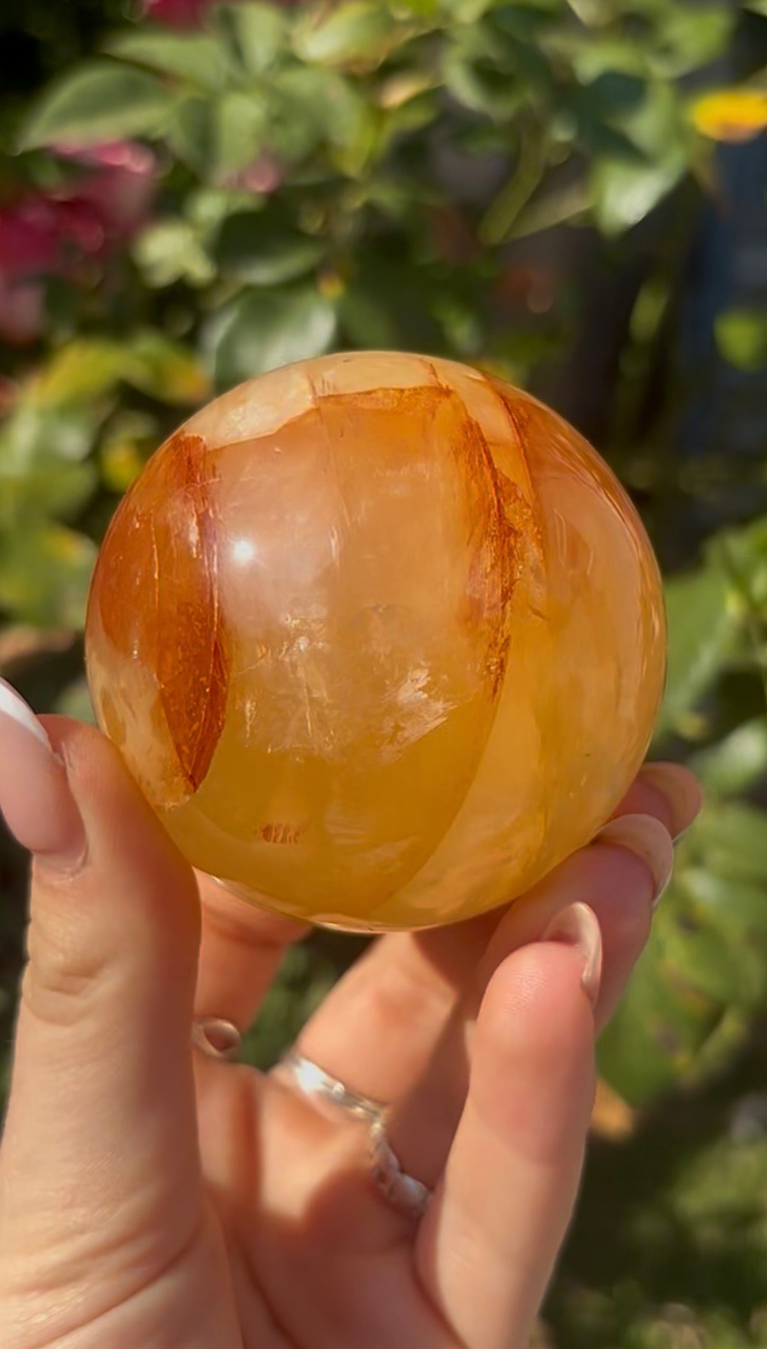 High quality, golden healer, sphere 6.4cm