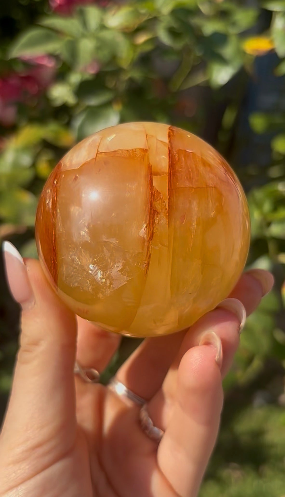 High quality, golden healer, sphere 6.4cm
