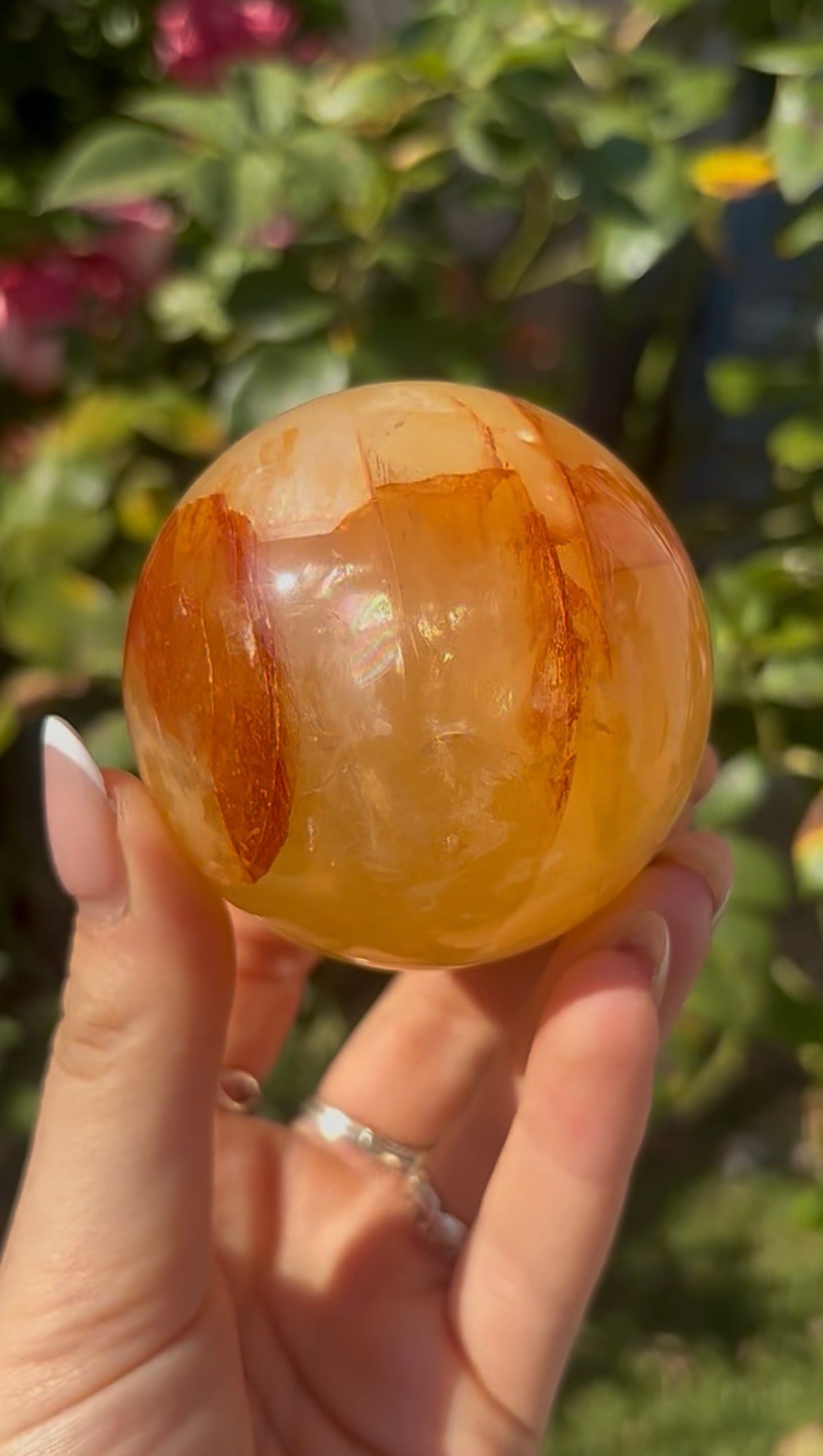High quality, golden healer, sphere 6.4cm
