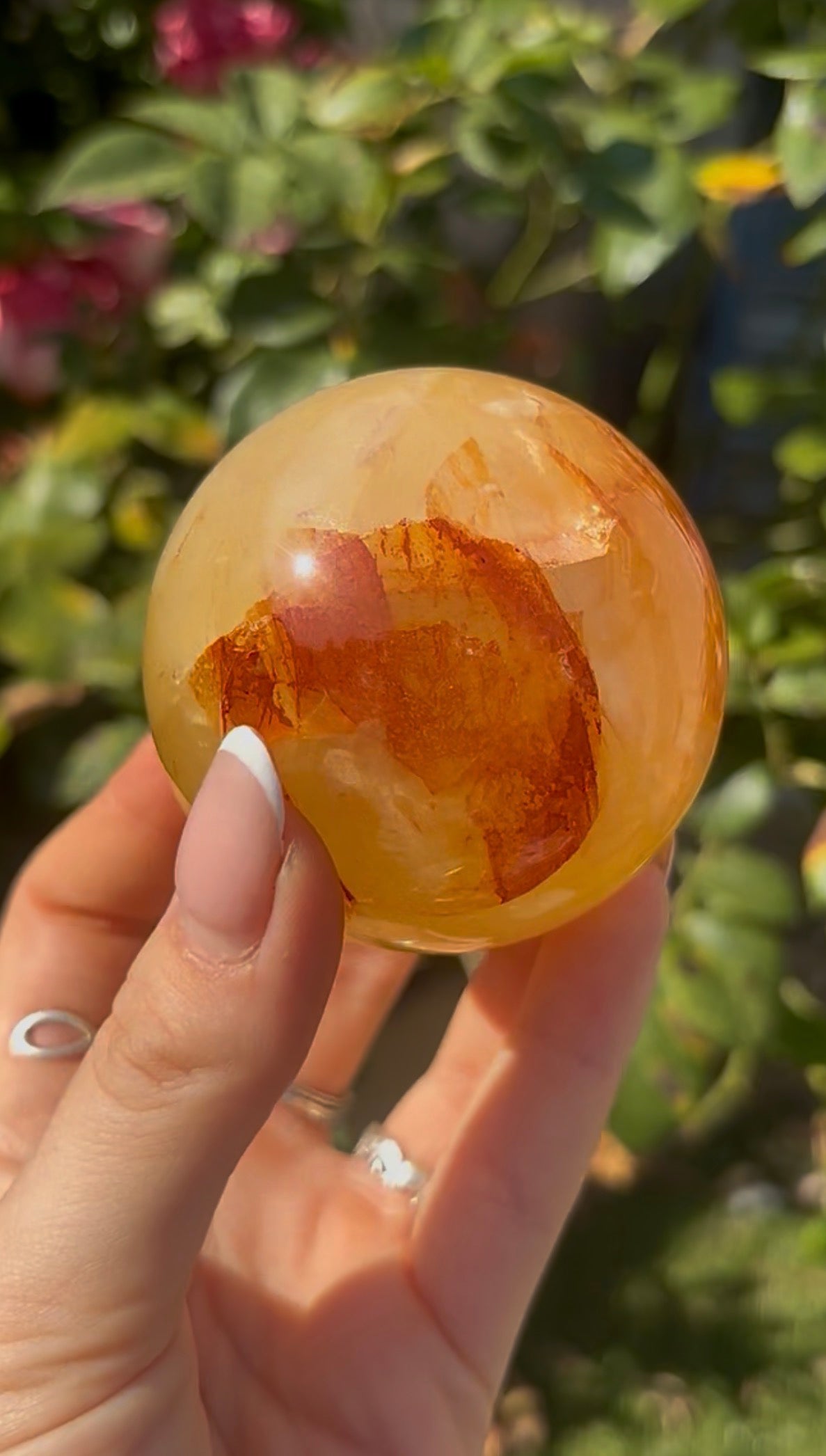 High quality, golden healer, sphere 6.4cm