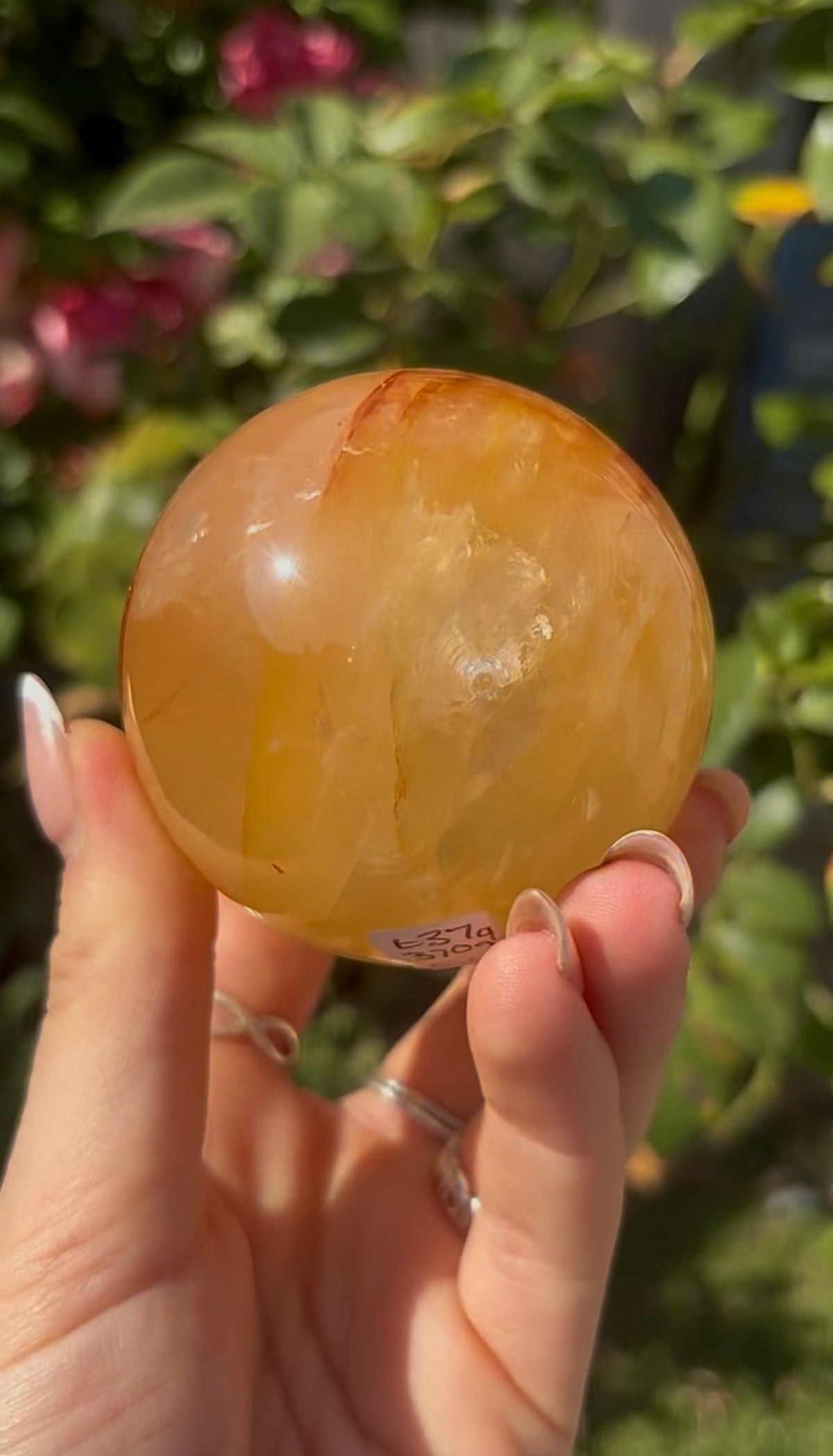 High quality, golden healer, sphere 6.4cm