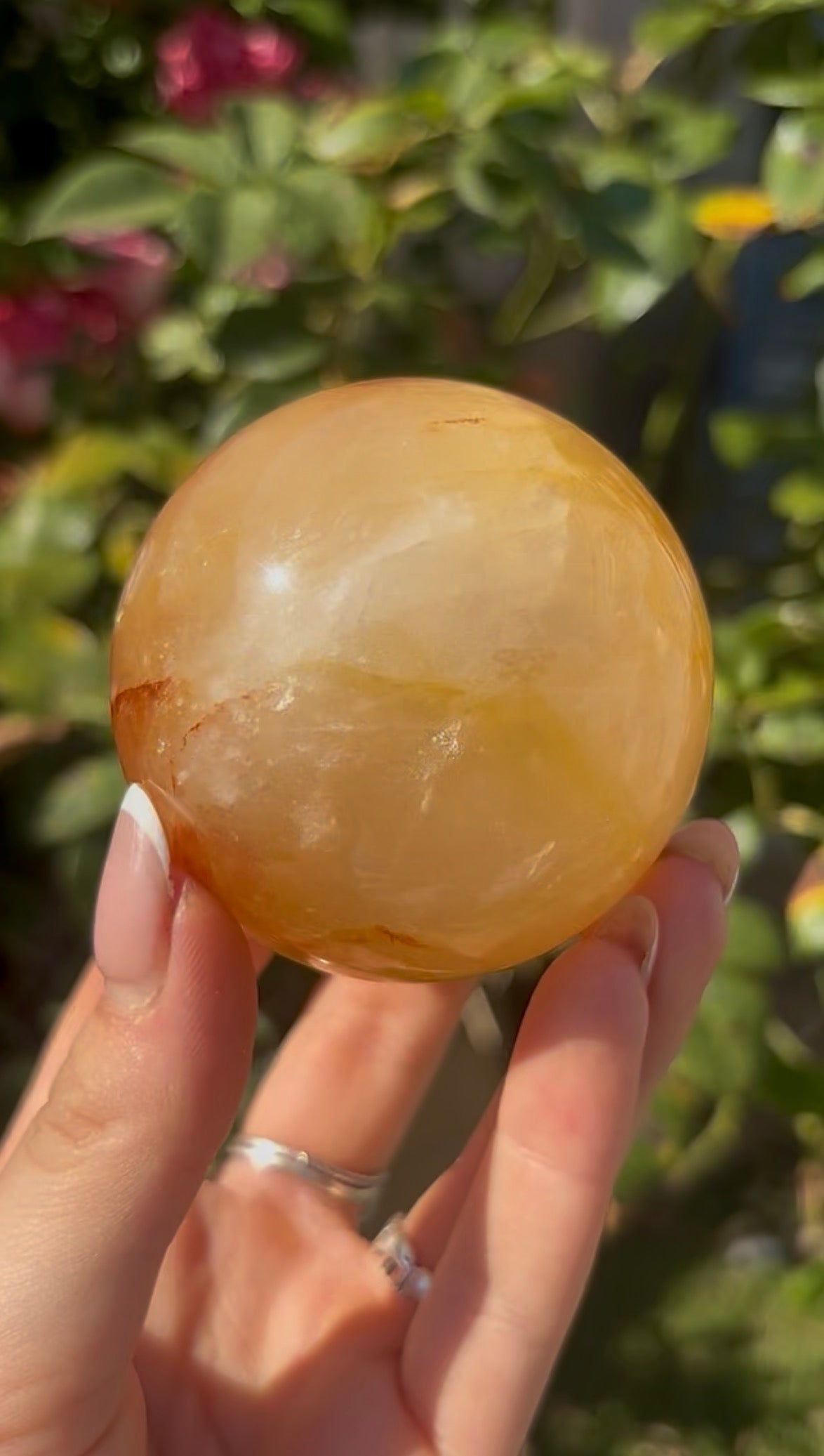 High quality, golden healer, sphere 6.4cm