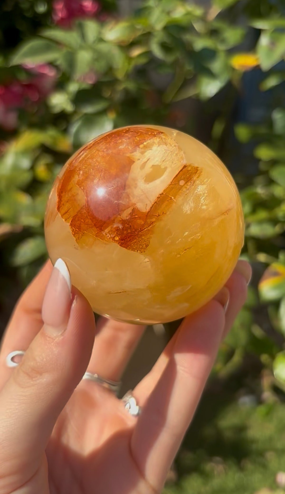 High quality, golden healer, sphere 6.4cm