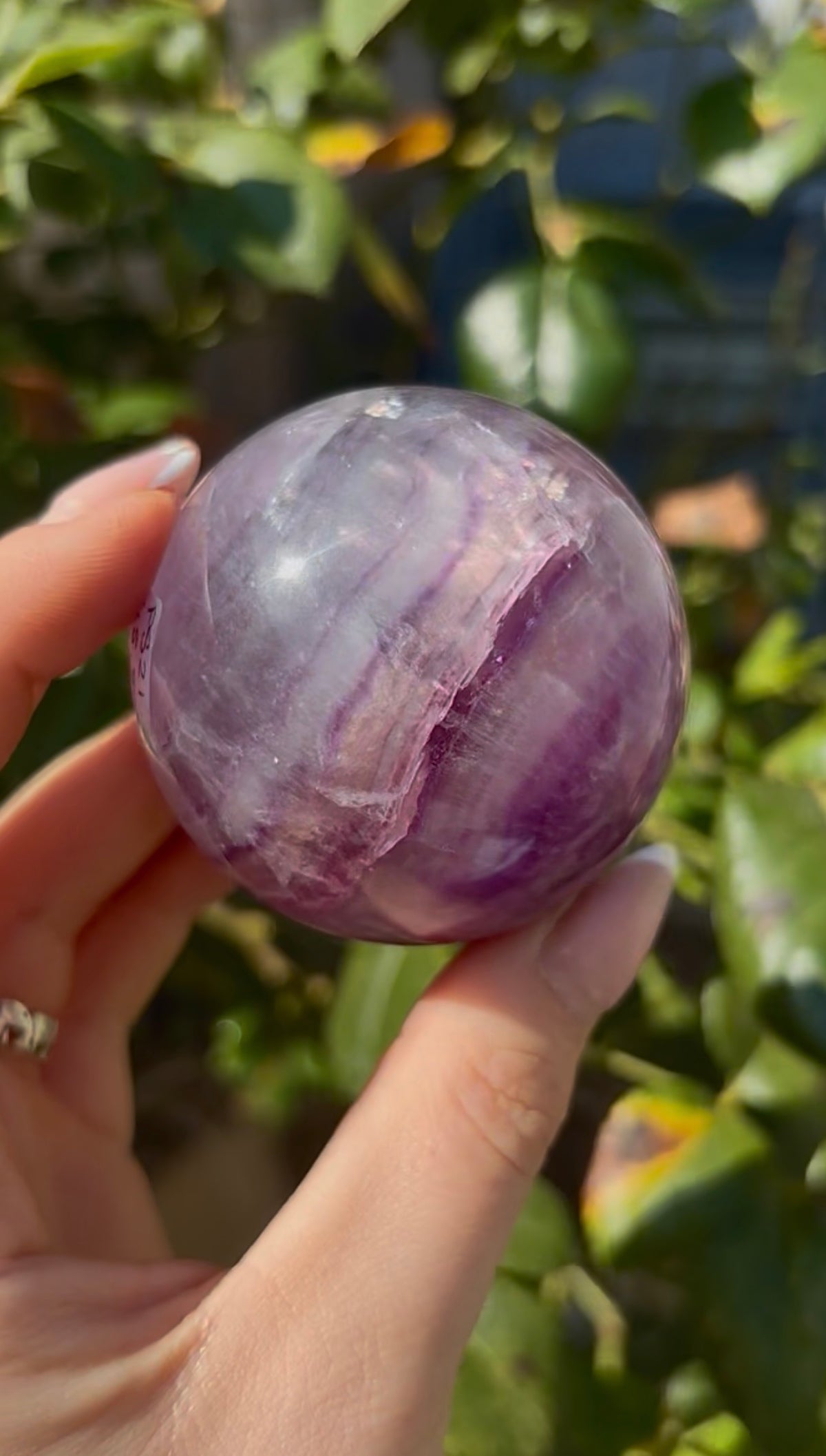 High grade, candy striped rainbow fluorite sphere - 5.7cm