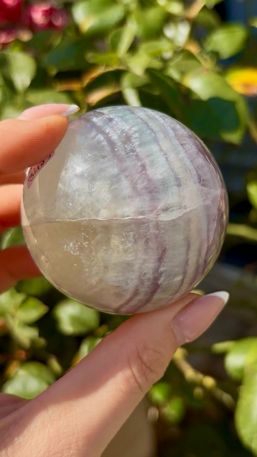 High grade, lemon candy, striped rainbow fluorite sphere - 5.8cm