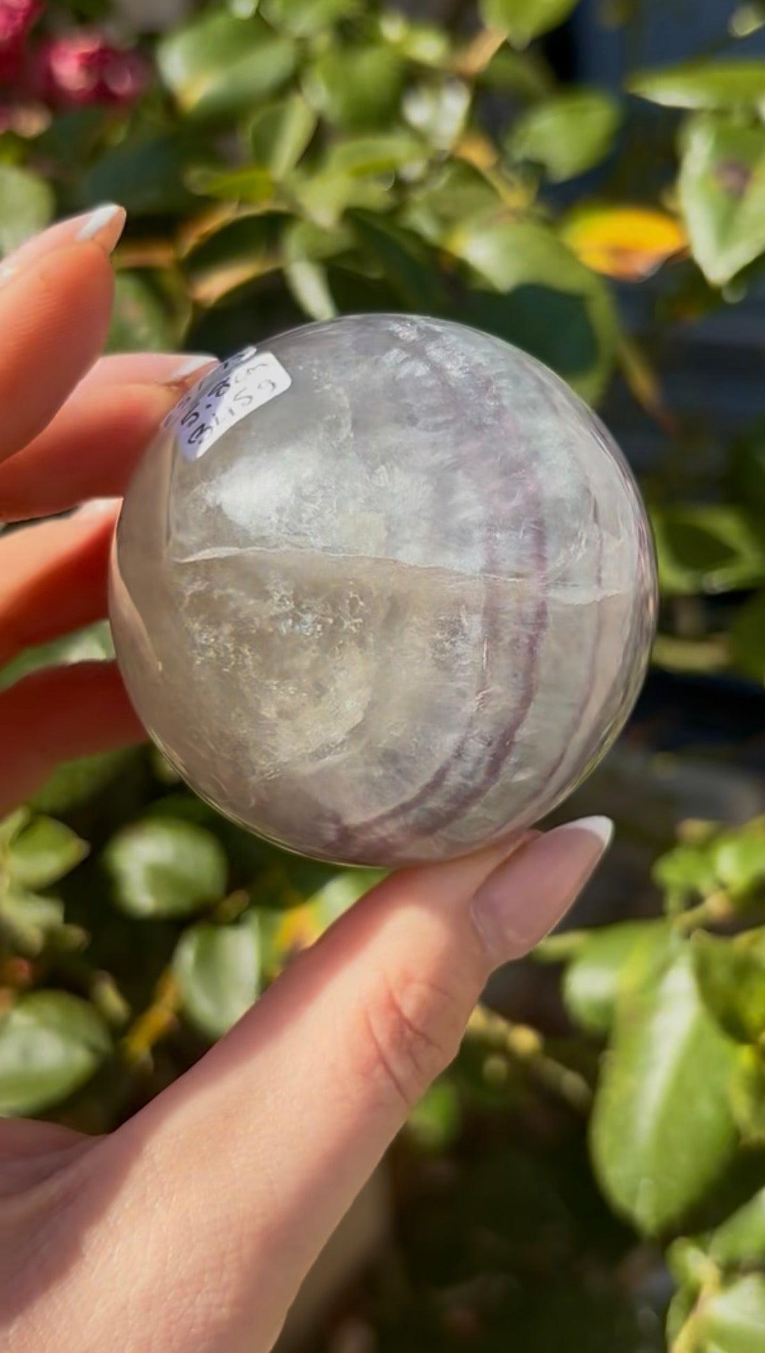 High grade, lemon candy, striped rainbow fluorite sphere - 5.8cm