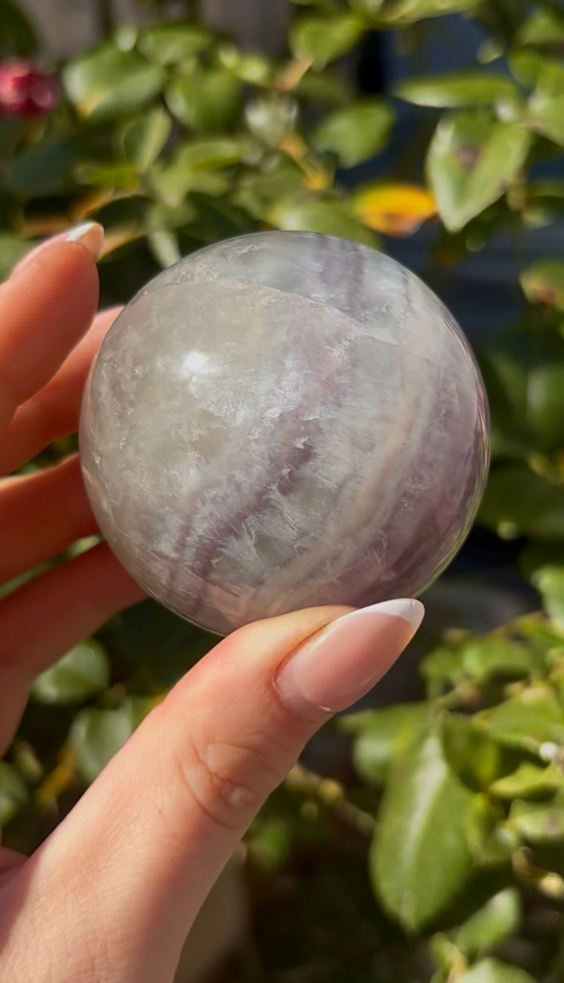 High grade, lemon candy, striped rainbow fluorite sphere - 5.8cm