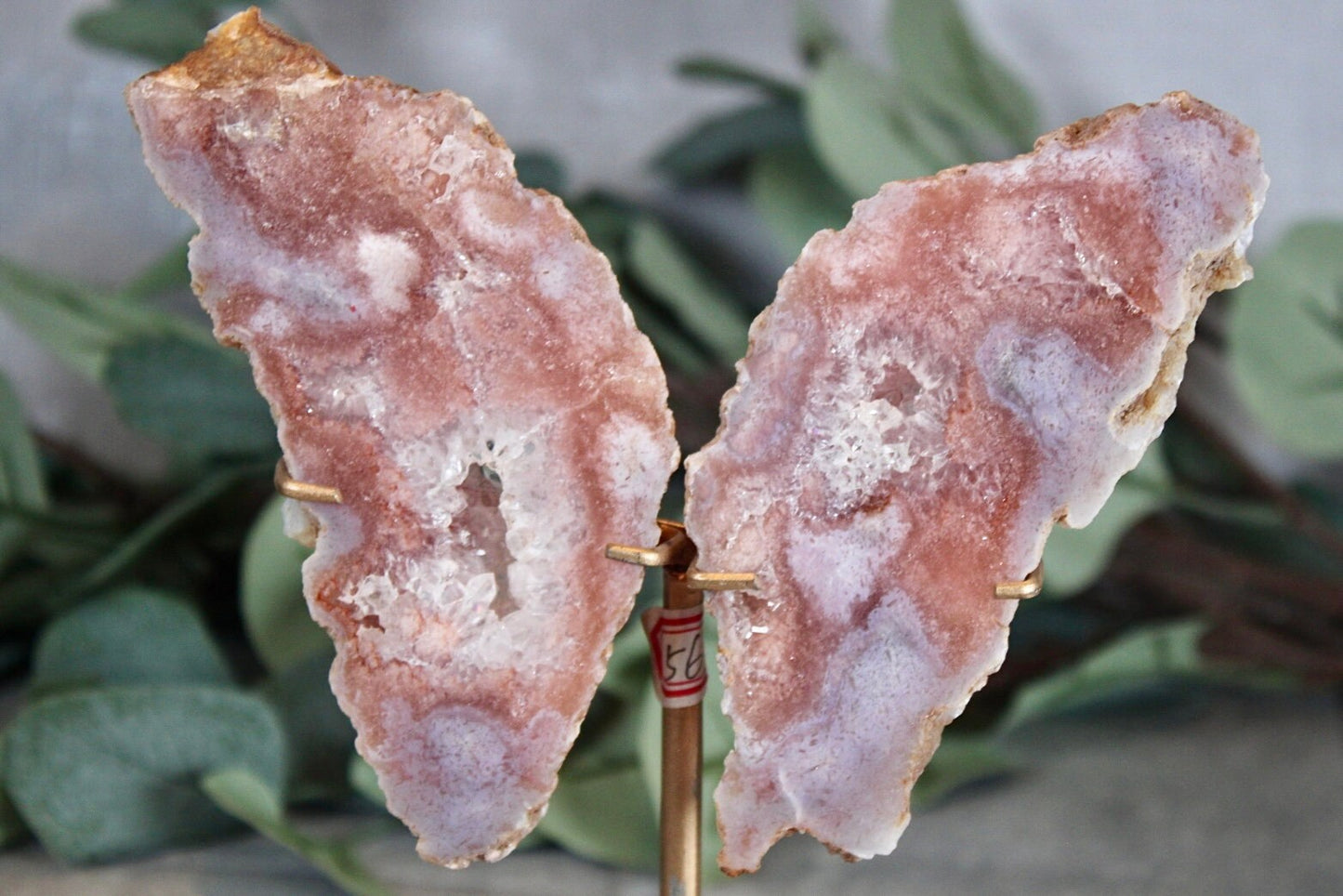 Pink amethyst x flower agate slab butterfly wings on stand
