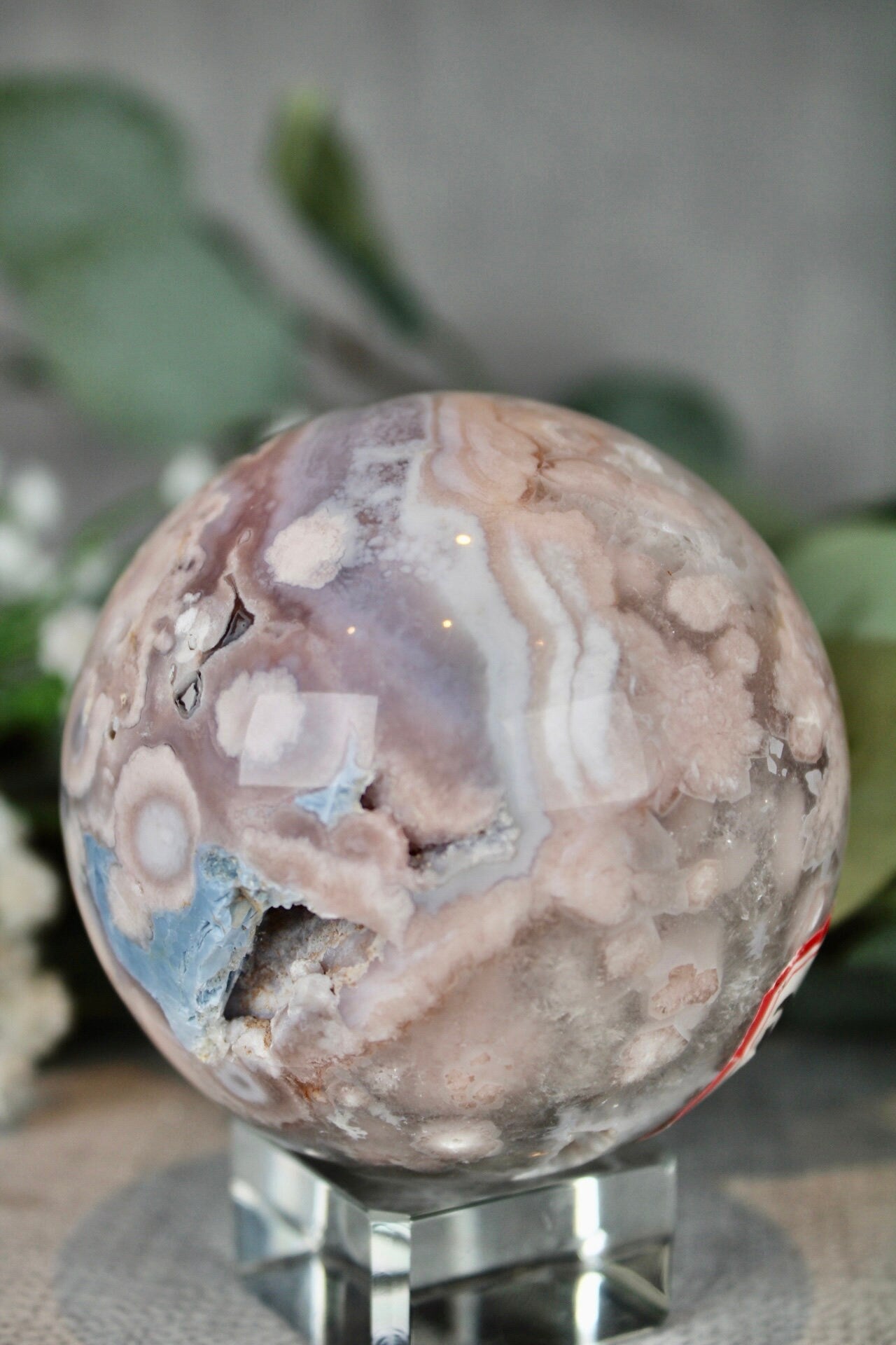 Blue flower agate with chlorite 565G 7CM