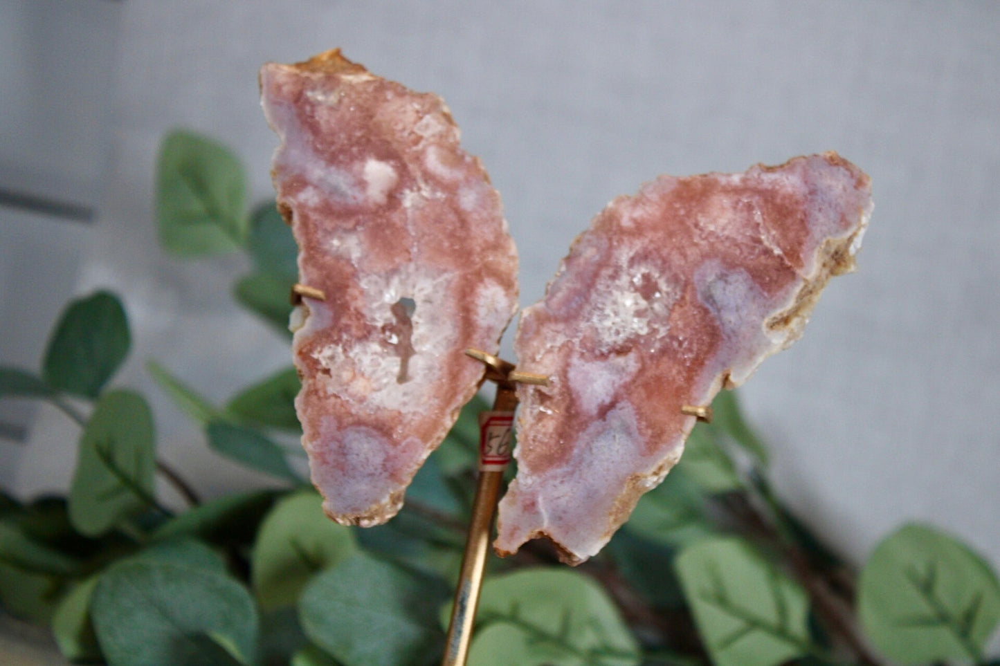 Pink amethyst x flower agate slab butterfly wings on stand
